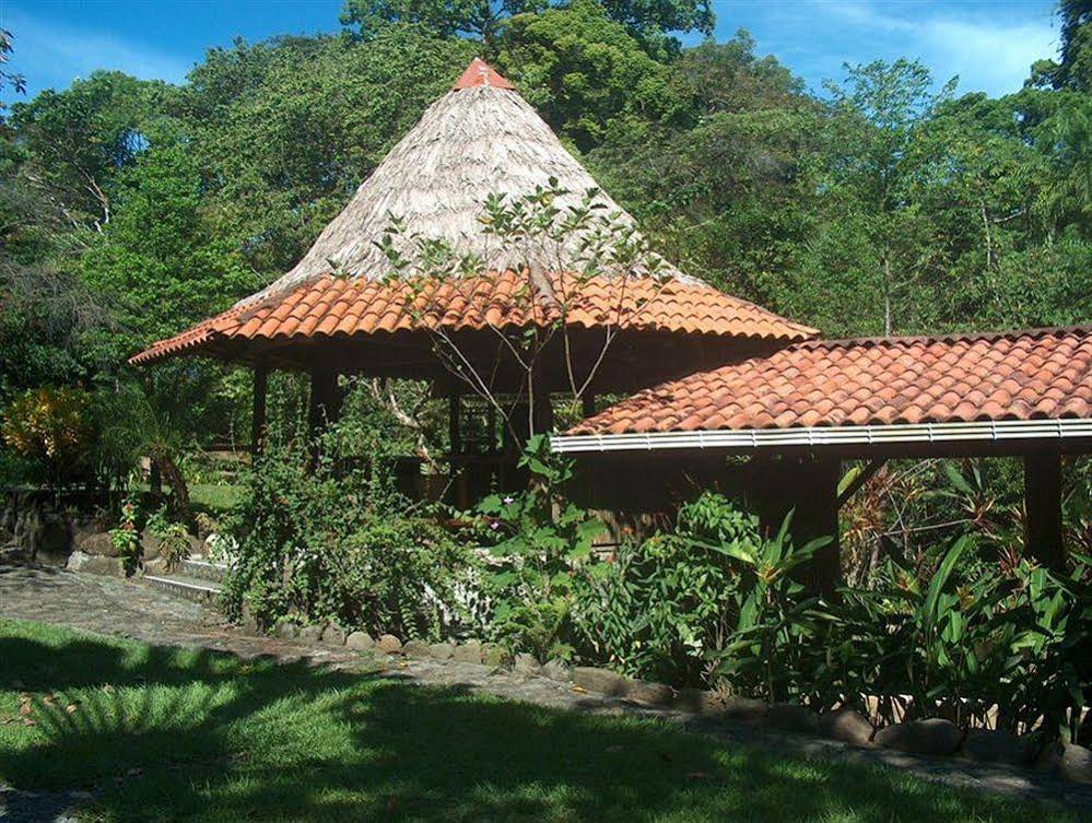 Tiskita Jungle Lodge