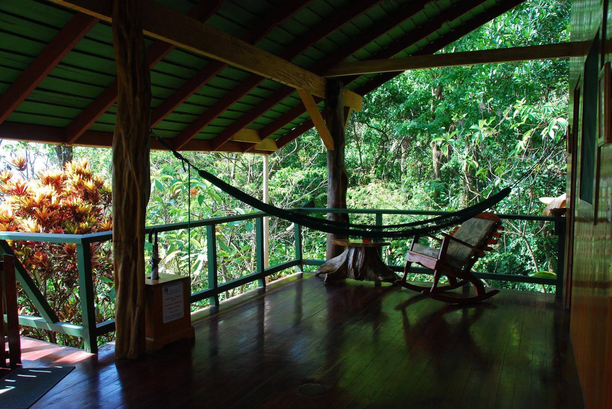 Tiskita Jungle Lodge