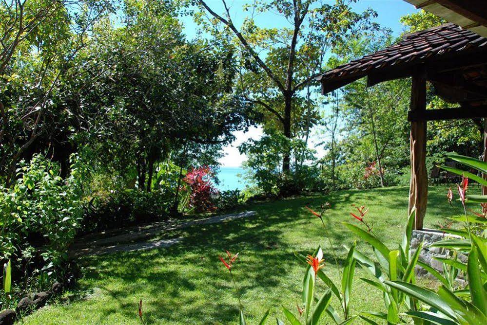 Tiskita Jungle Lodge