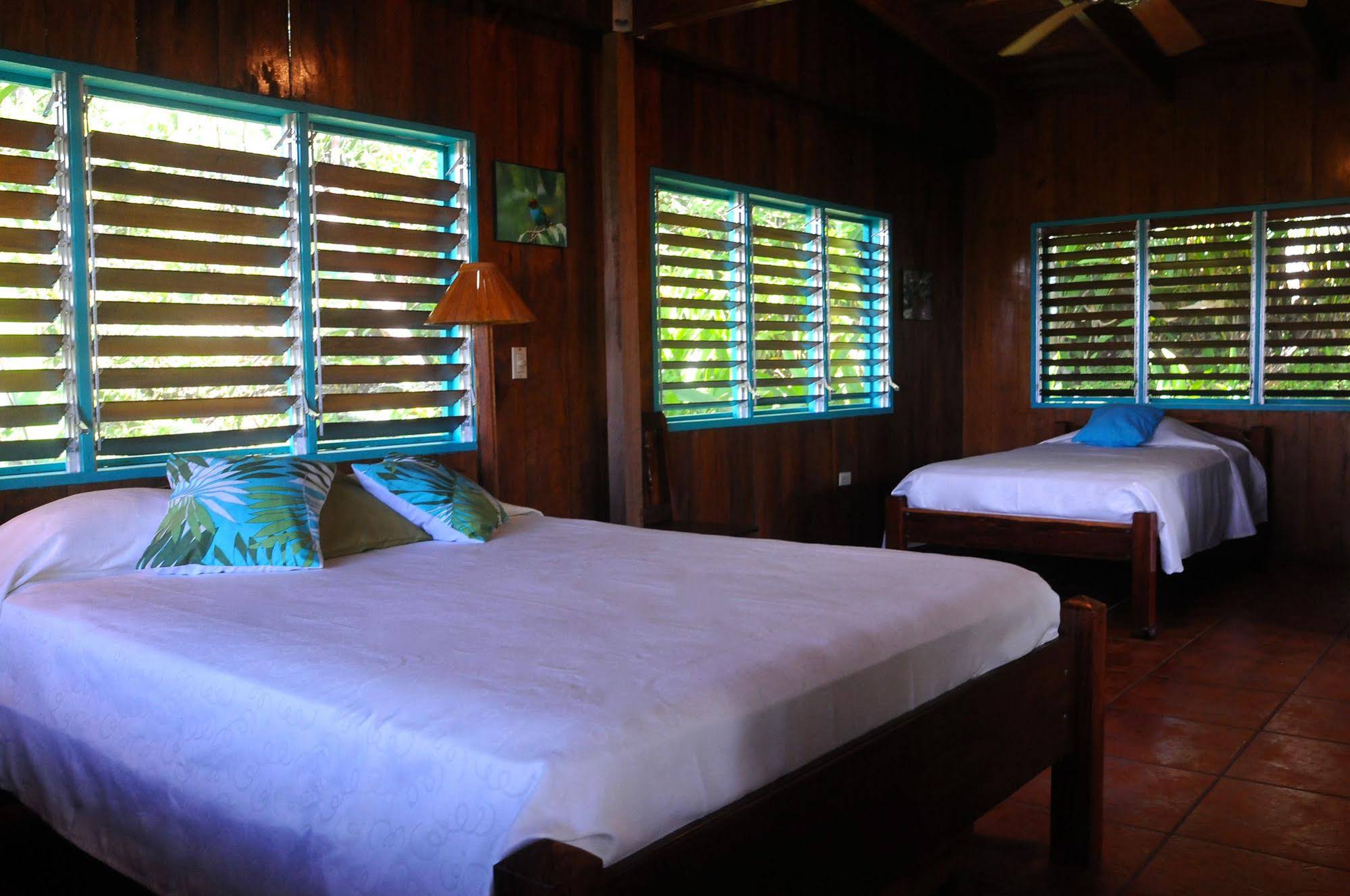 Tiskita Jungle Lodge