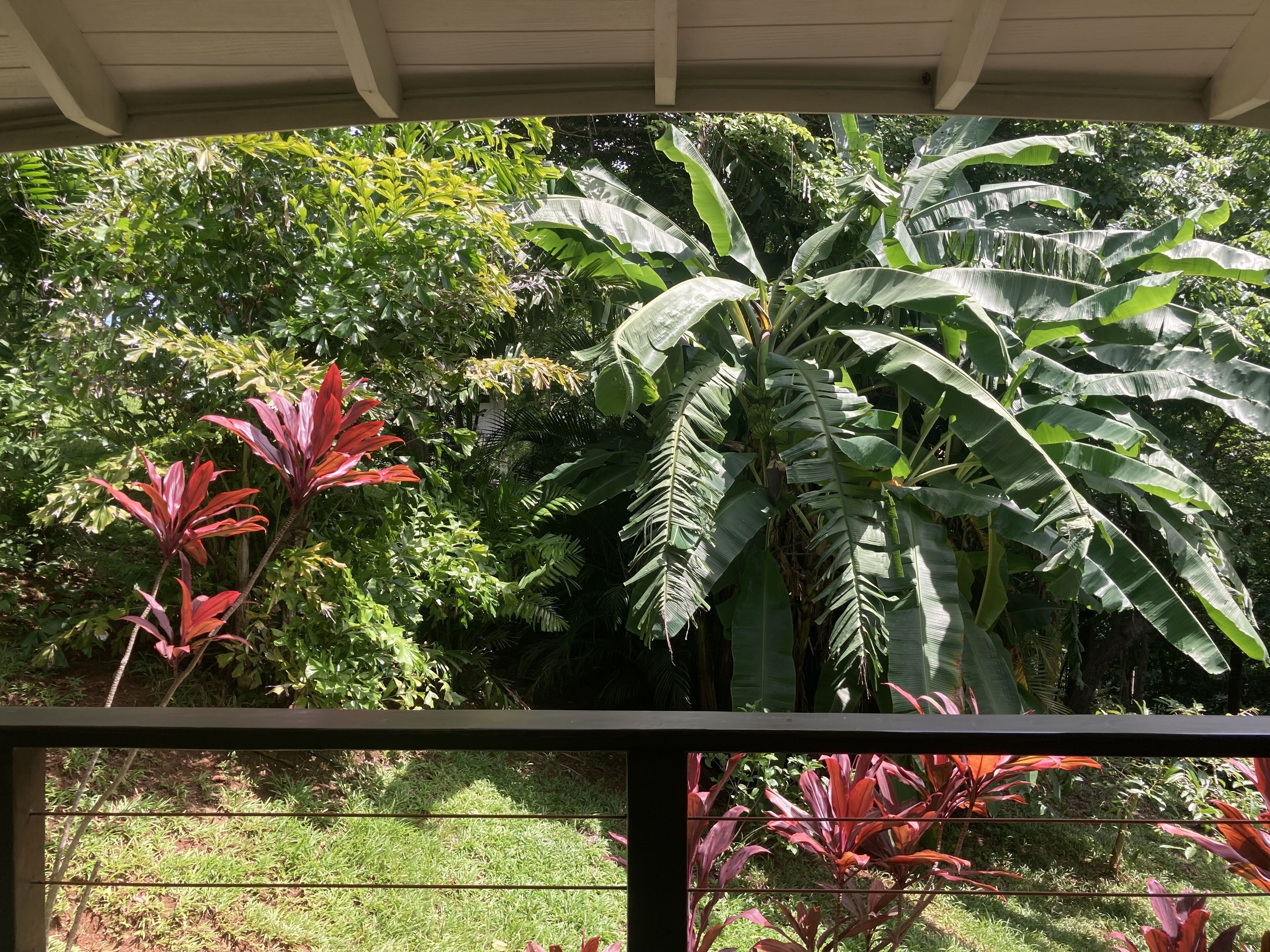 Mikado Natural Lodge