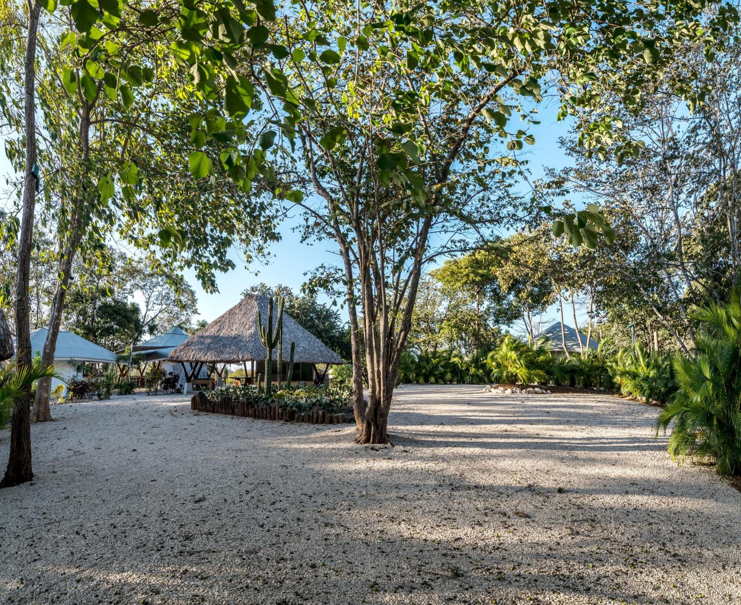 Mikado Natural Lodge