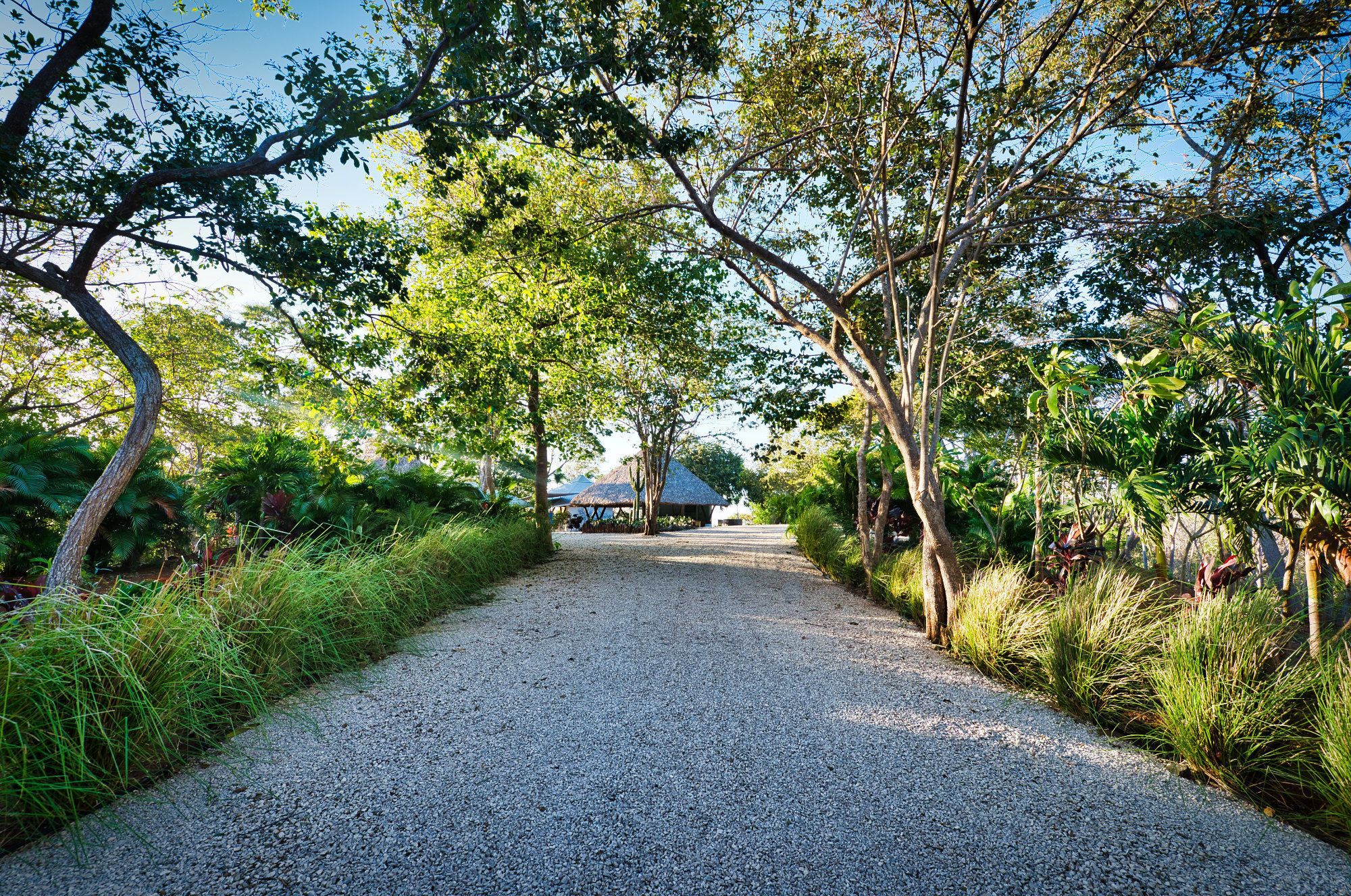 Mikado Natural Lodge