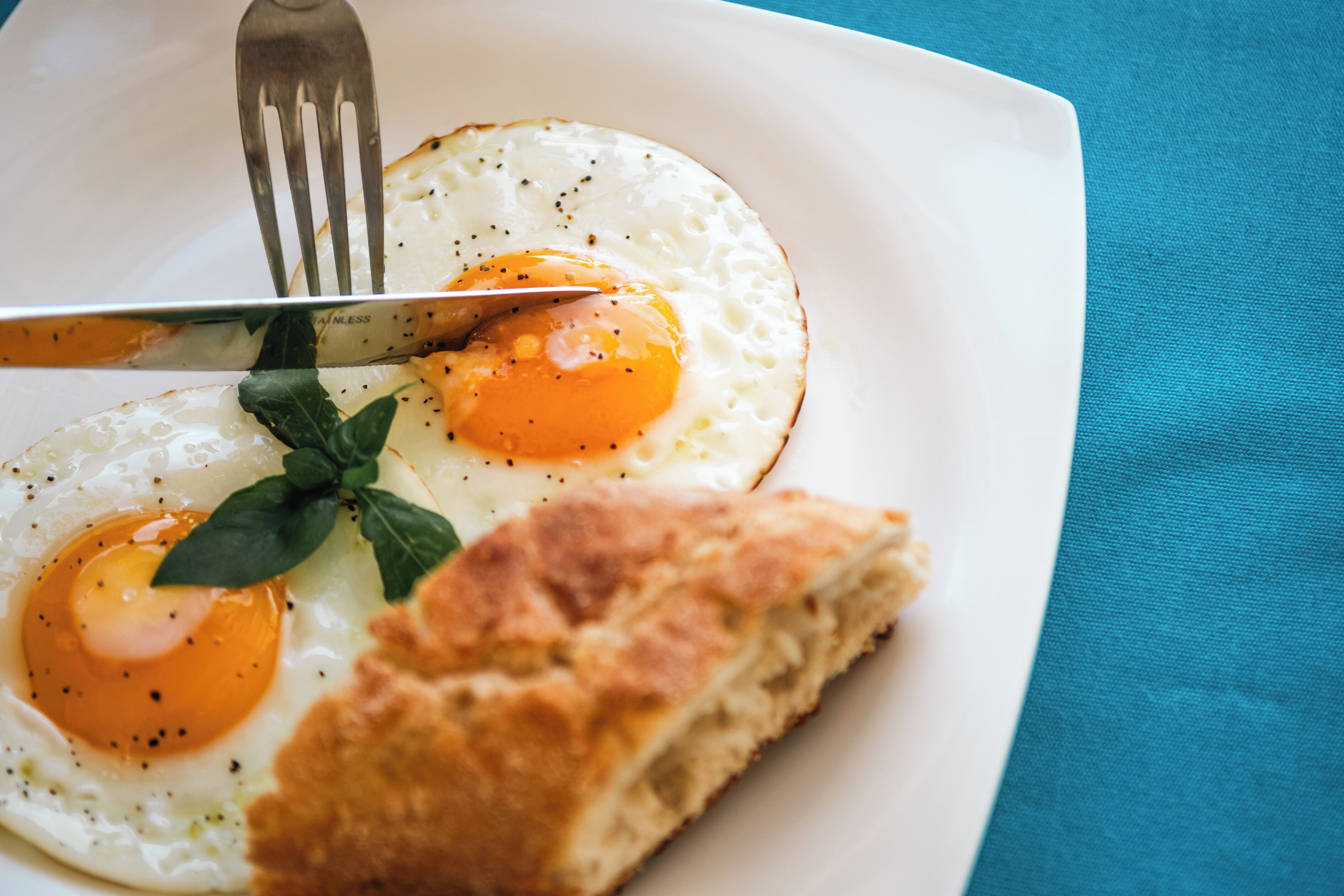 Mikado Natural Lodge