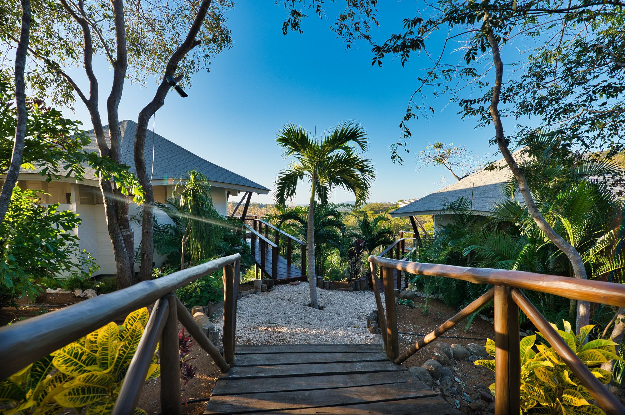 Mikado Natural Lodge