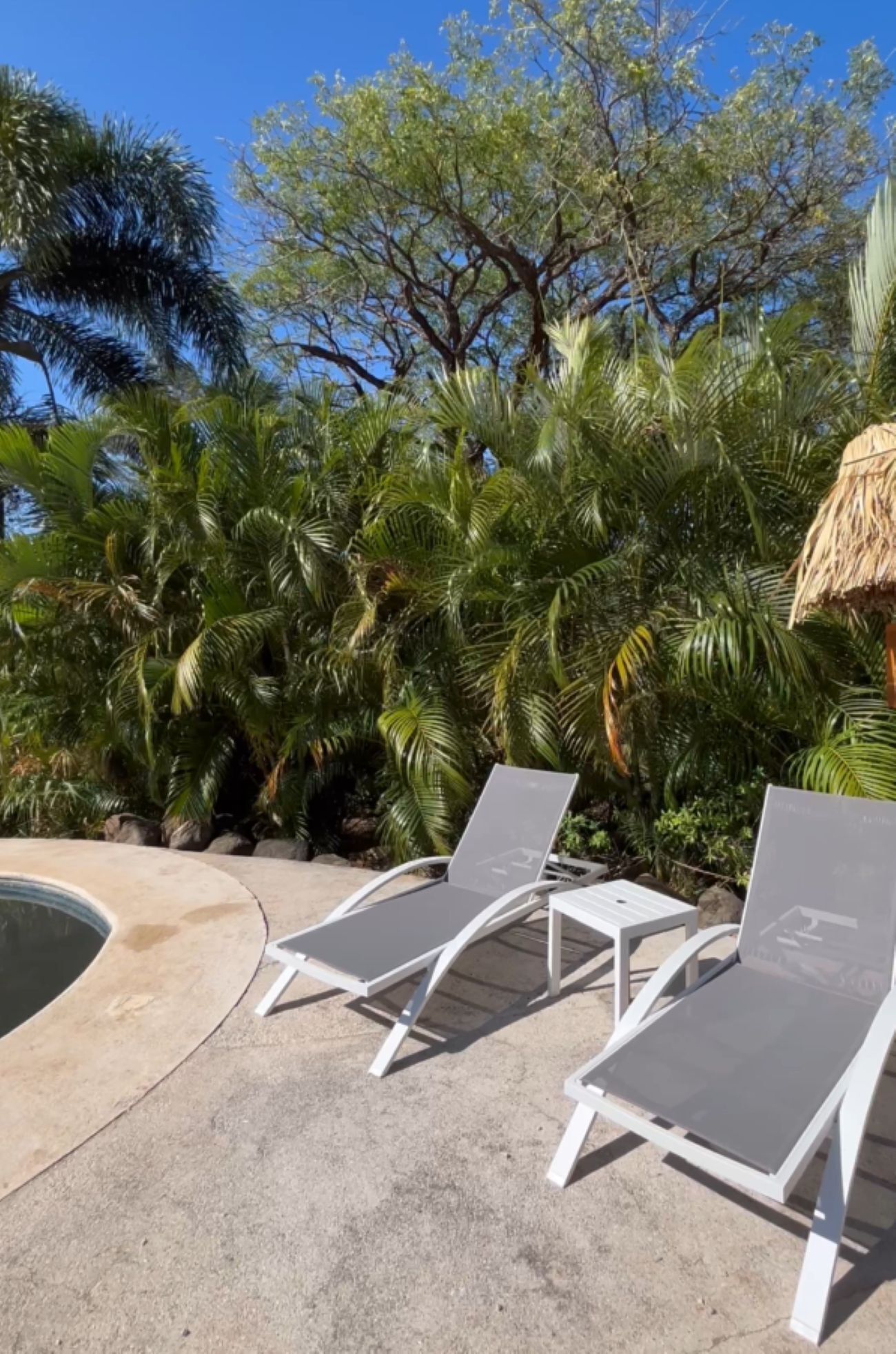 Mikado Natural Lodge