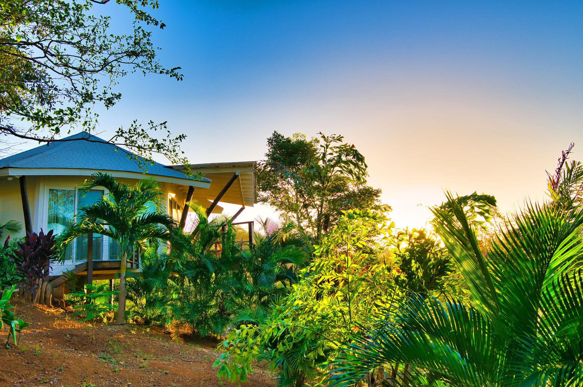 Mikado Natural Lodge