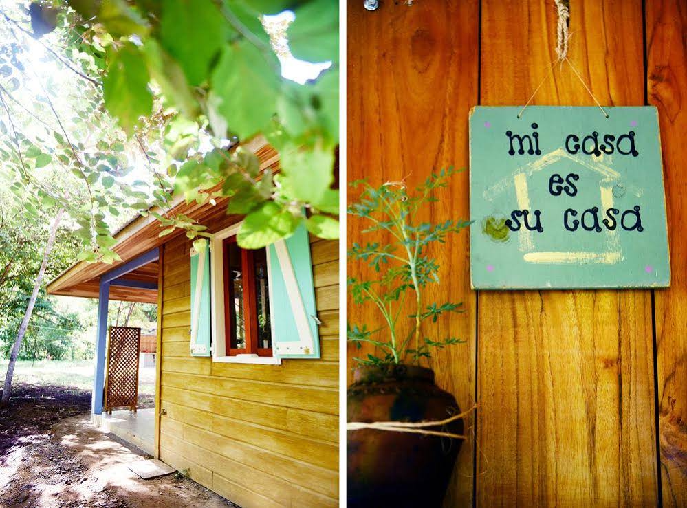 Vida Verde