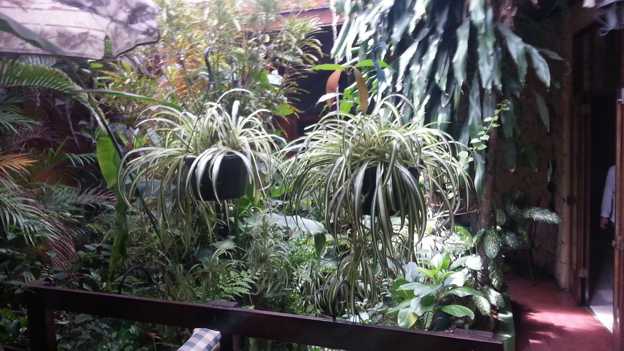 Charly's Place Hotel