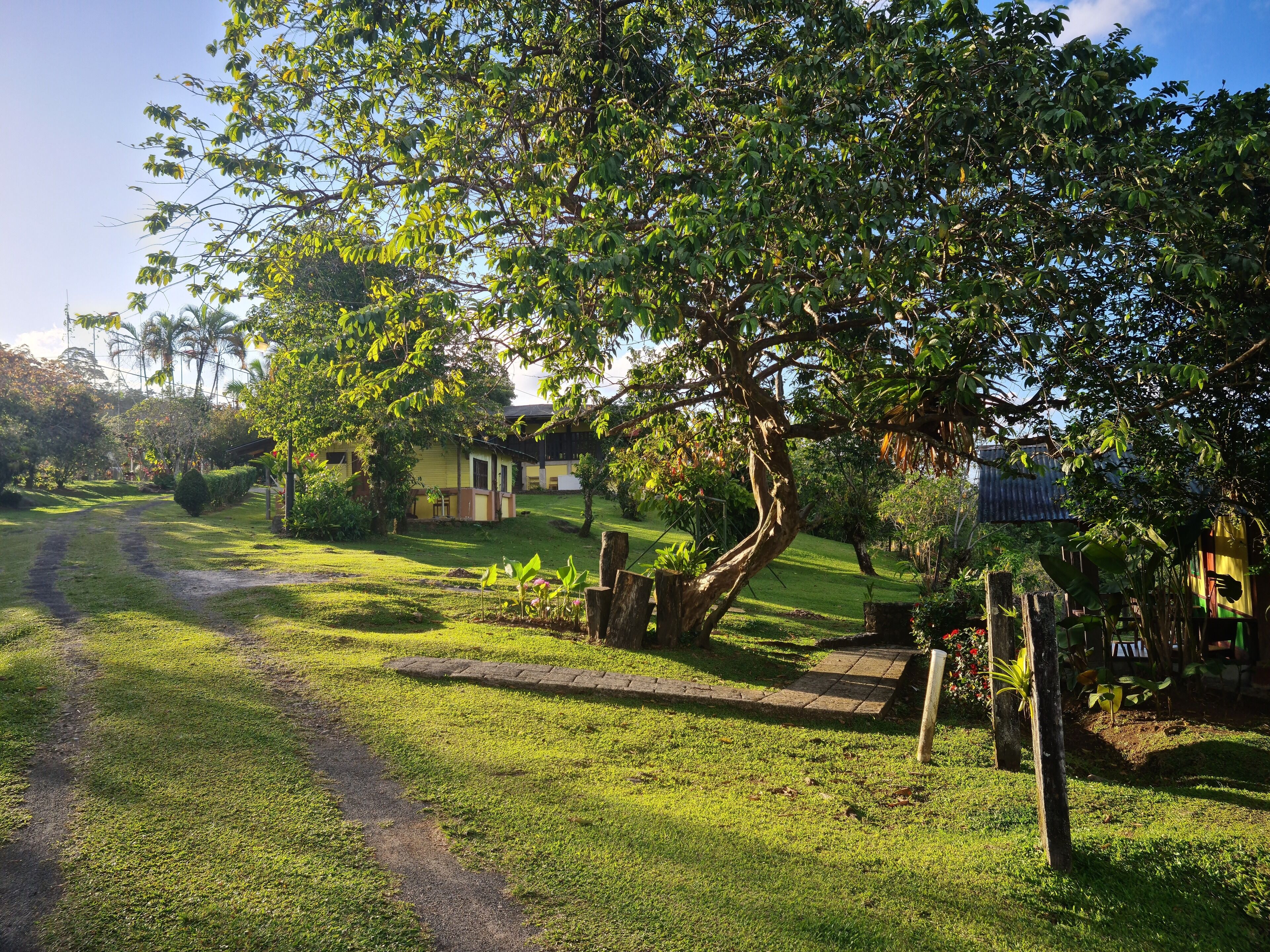 Los Gallitos Hotel