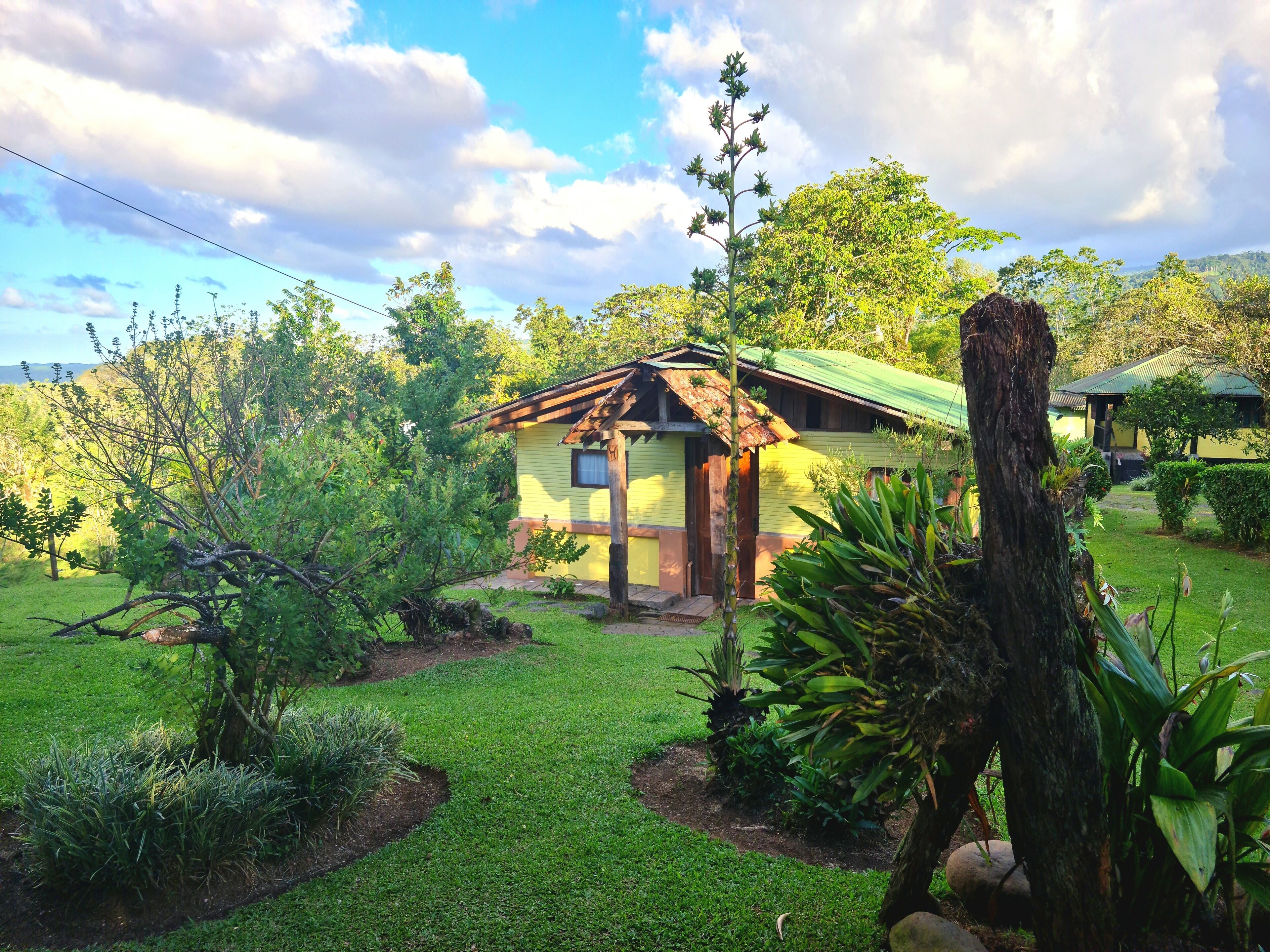 Los Gallitos Hotel