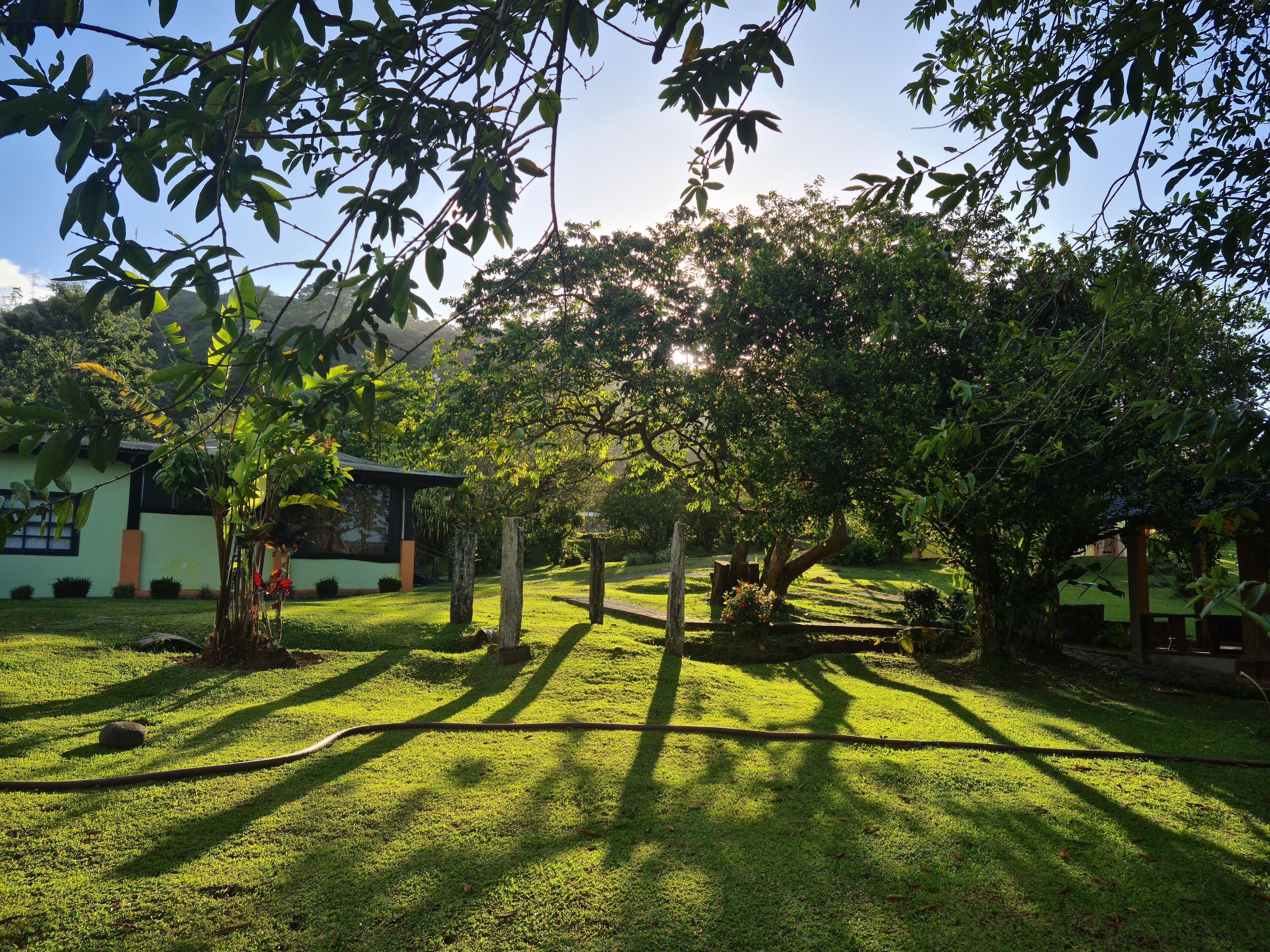 Los Gallitos Hotel