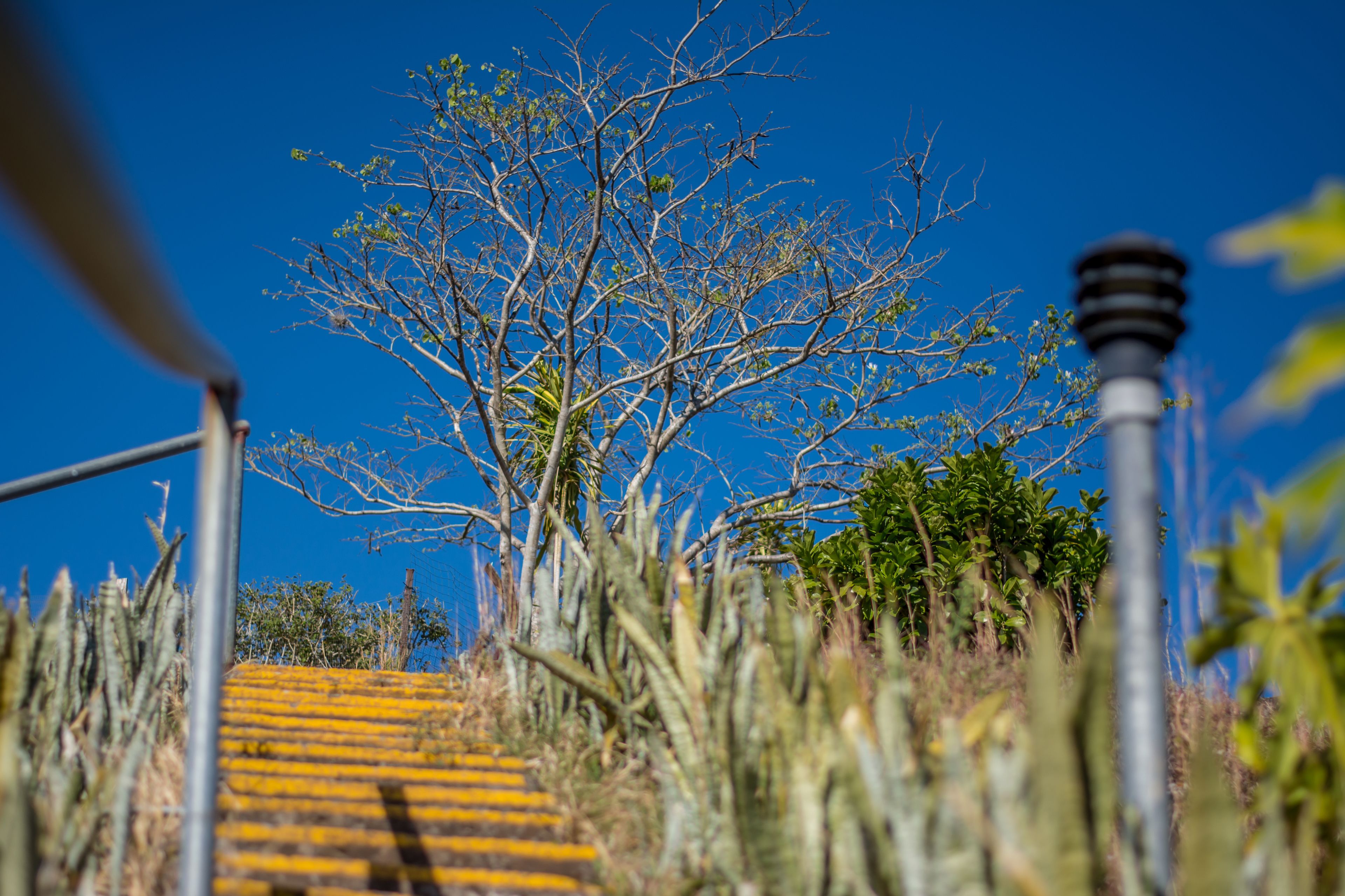 Hotel Colinas del Sol