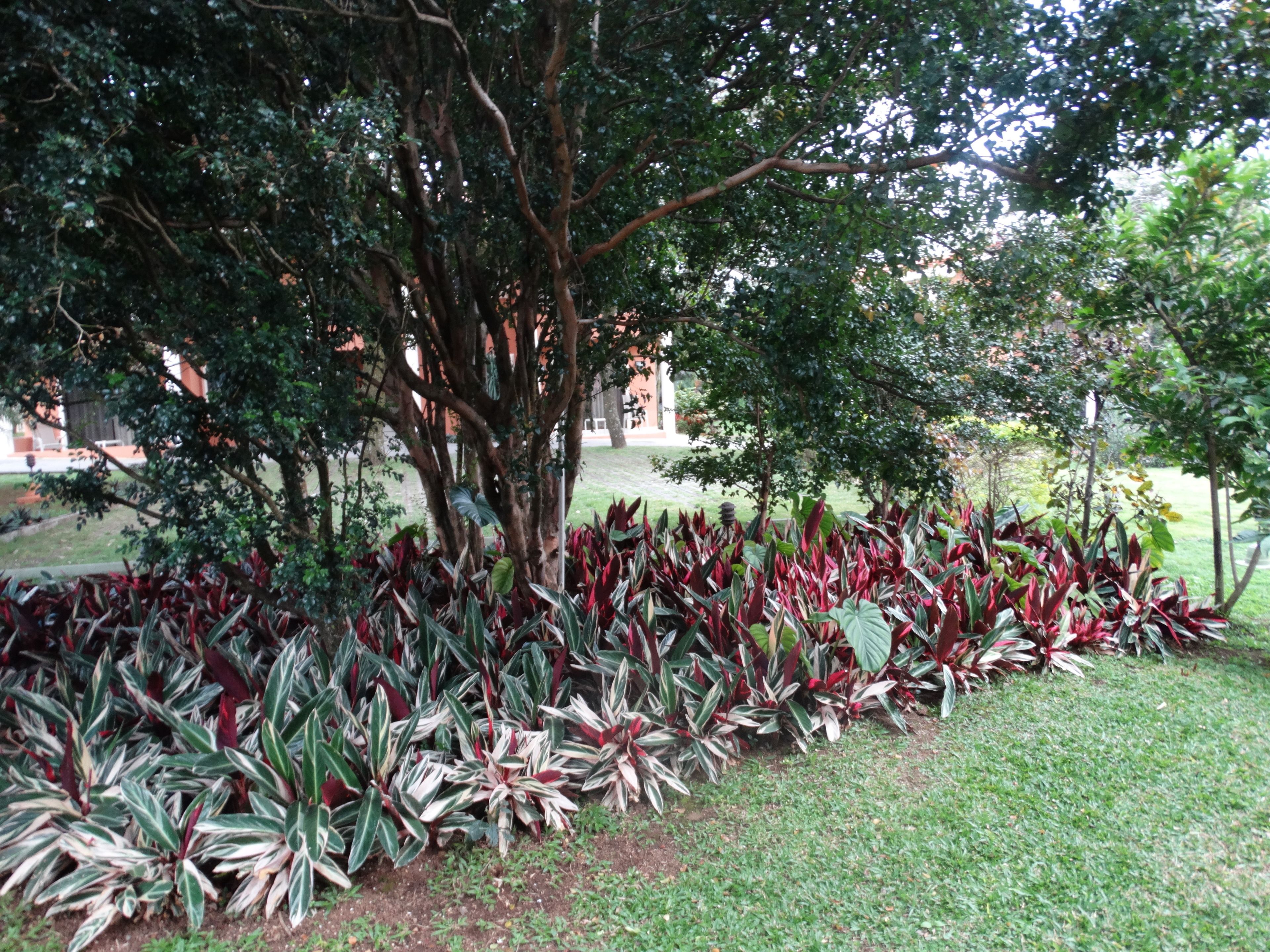 Suites Merlyn Aeropuerto