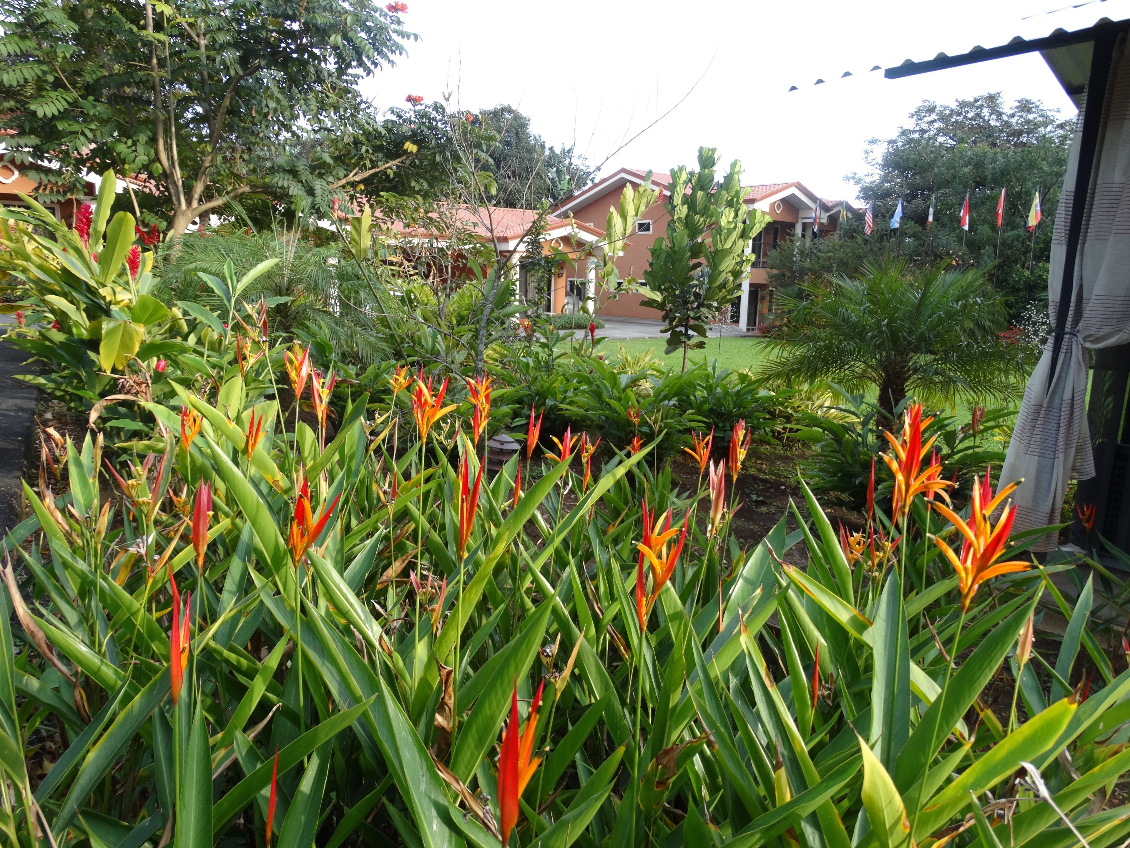 Suites Merlyn Aeropuerto