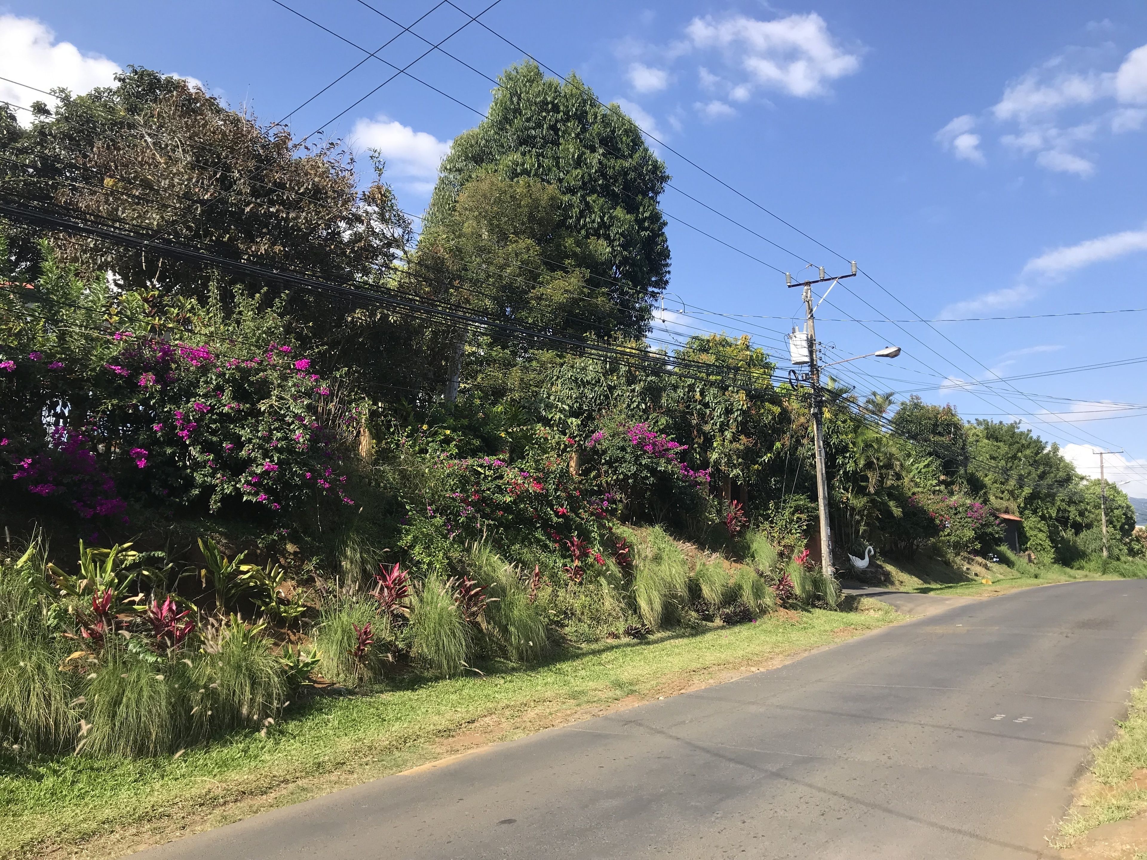 Suites Merlyn Aeropuerto
