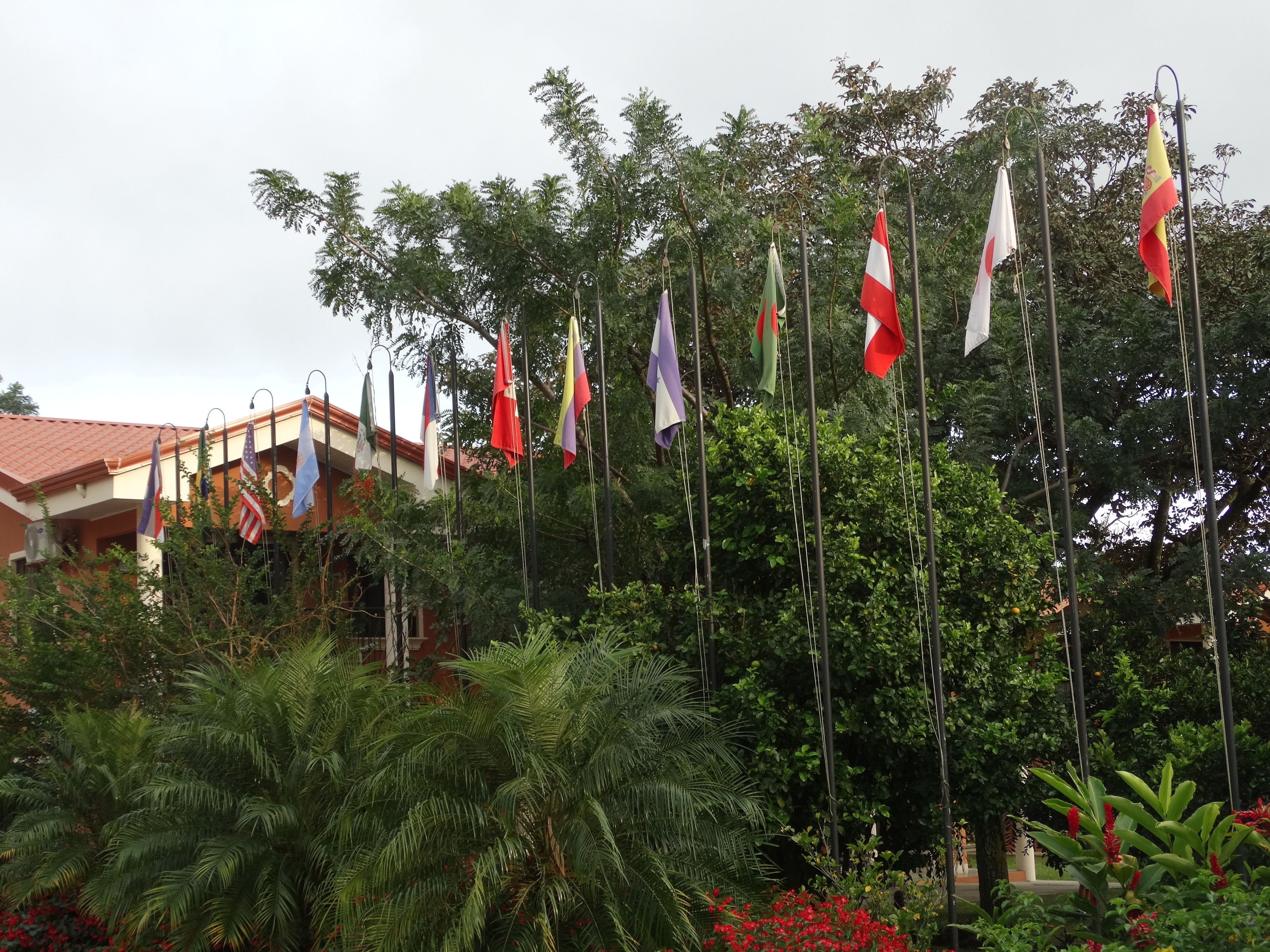 Suites Merlyn Aeropuerto