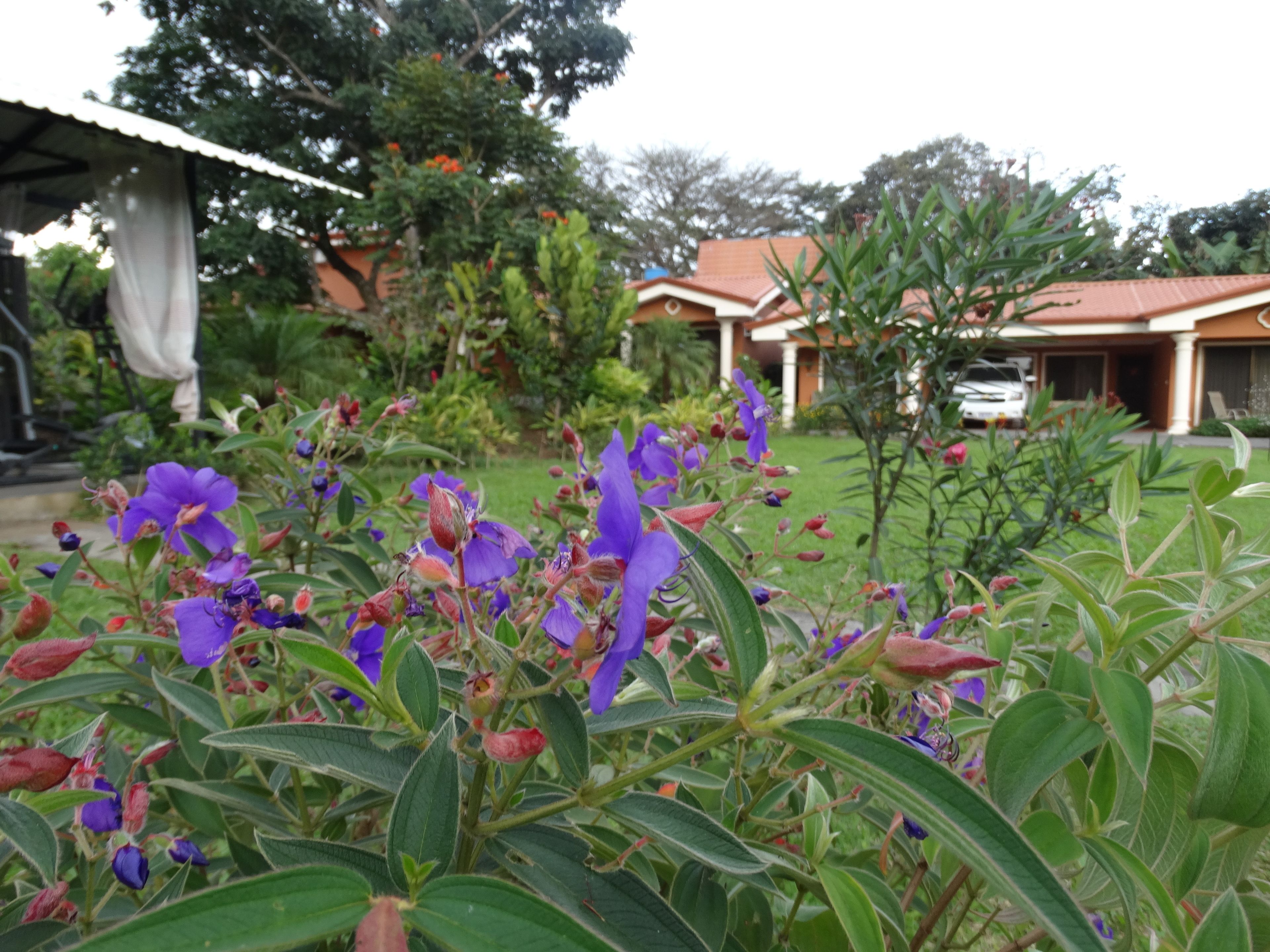 Suites Merlyn Aeropuerto