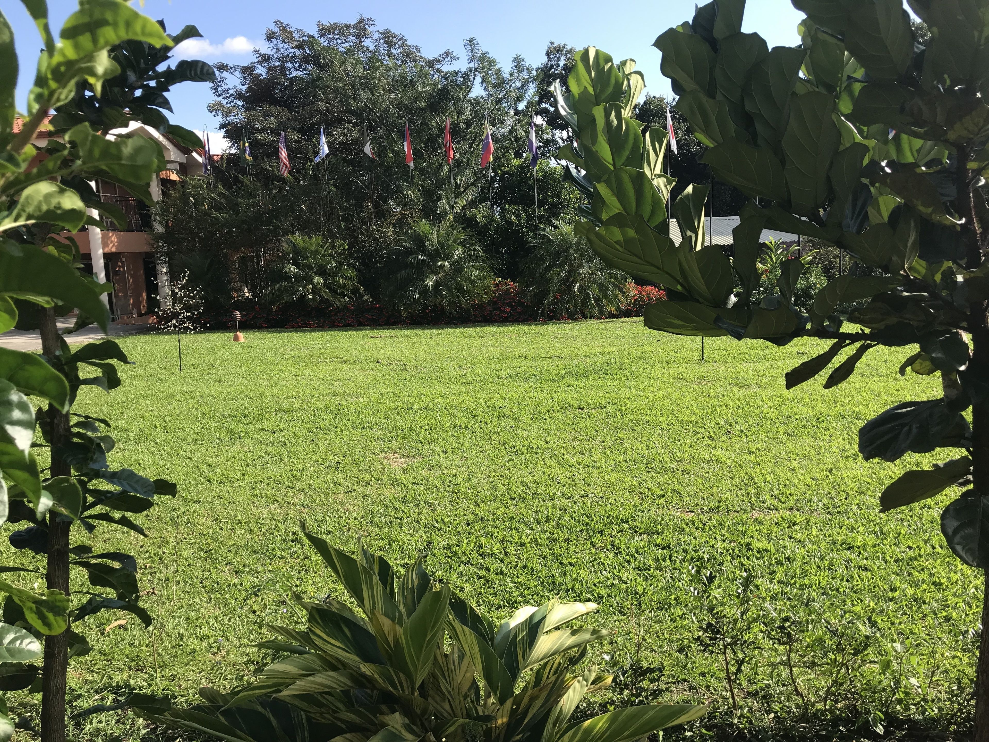 Suites Merlyn Aeropuerto