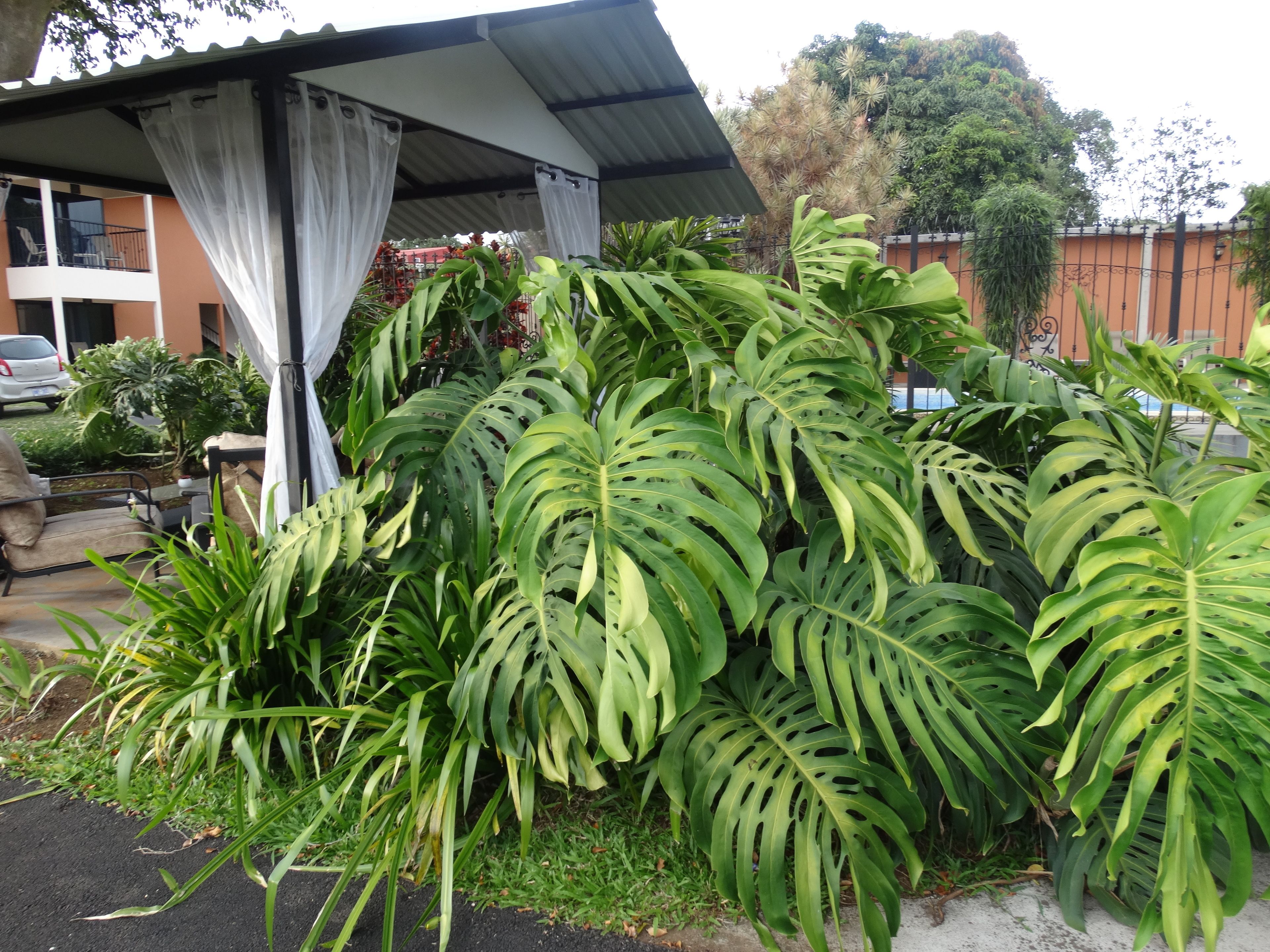 Suites Merlyn Aeropuerto