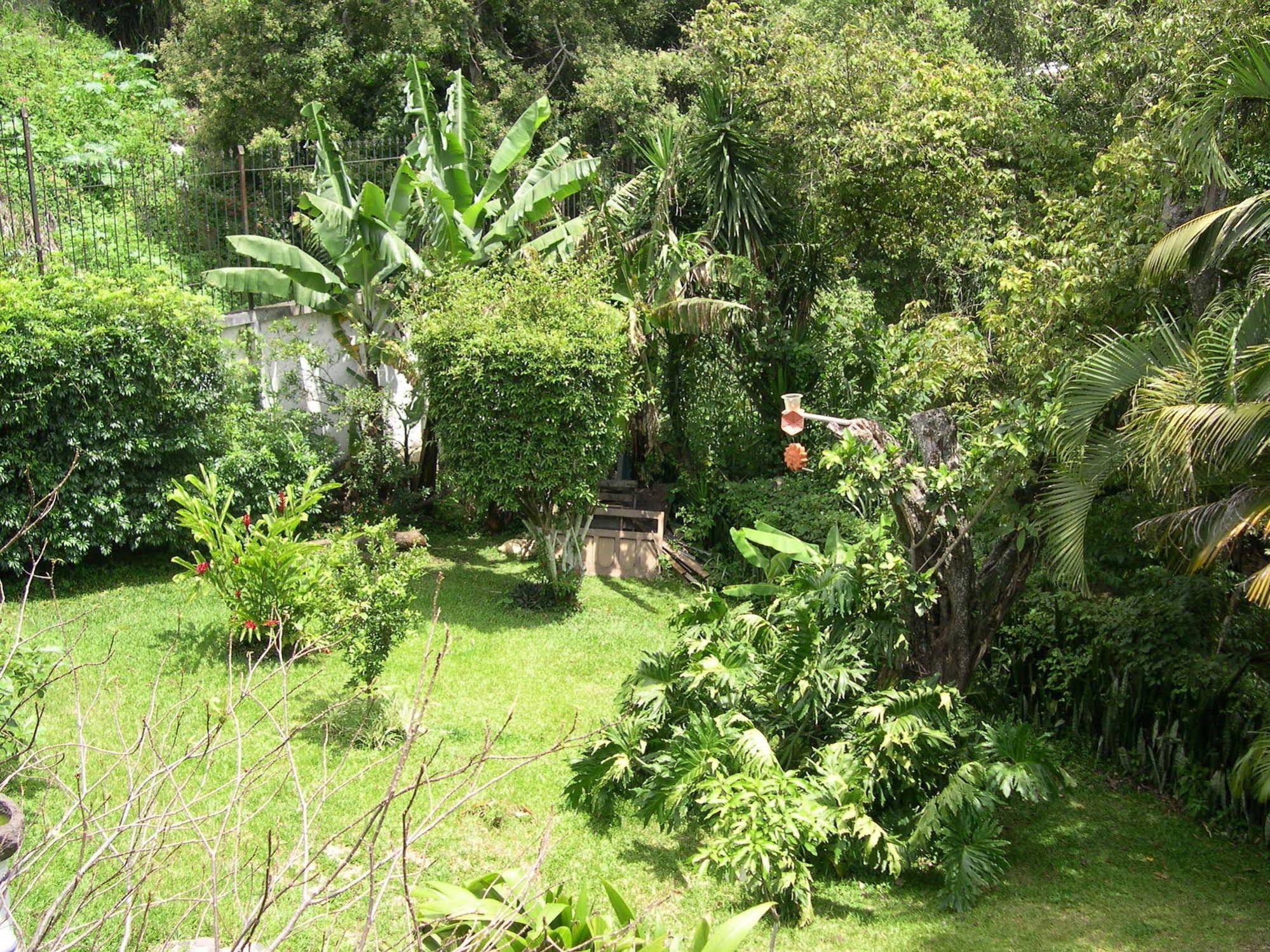 Cariari Bed & Breakfast