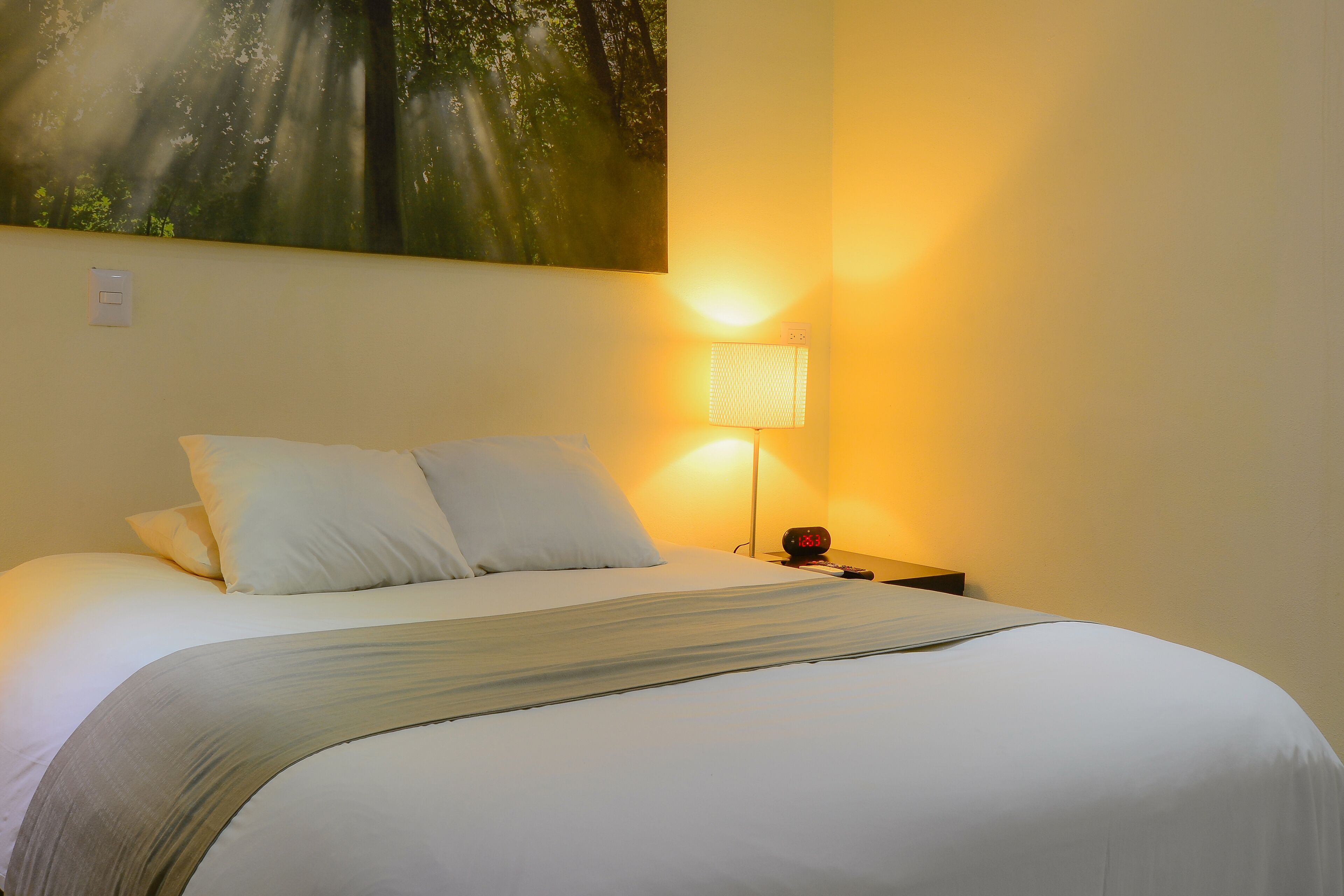 Hotel Luisiana