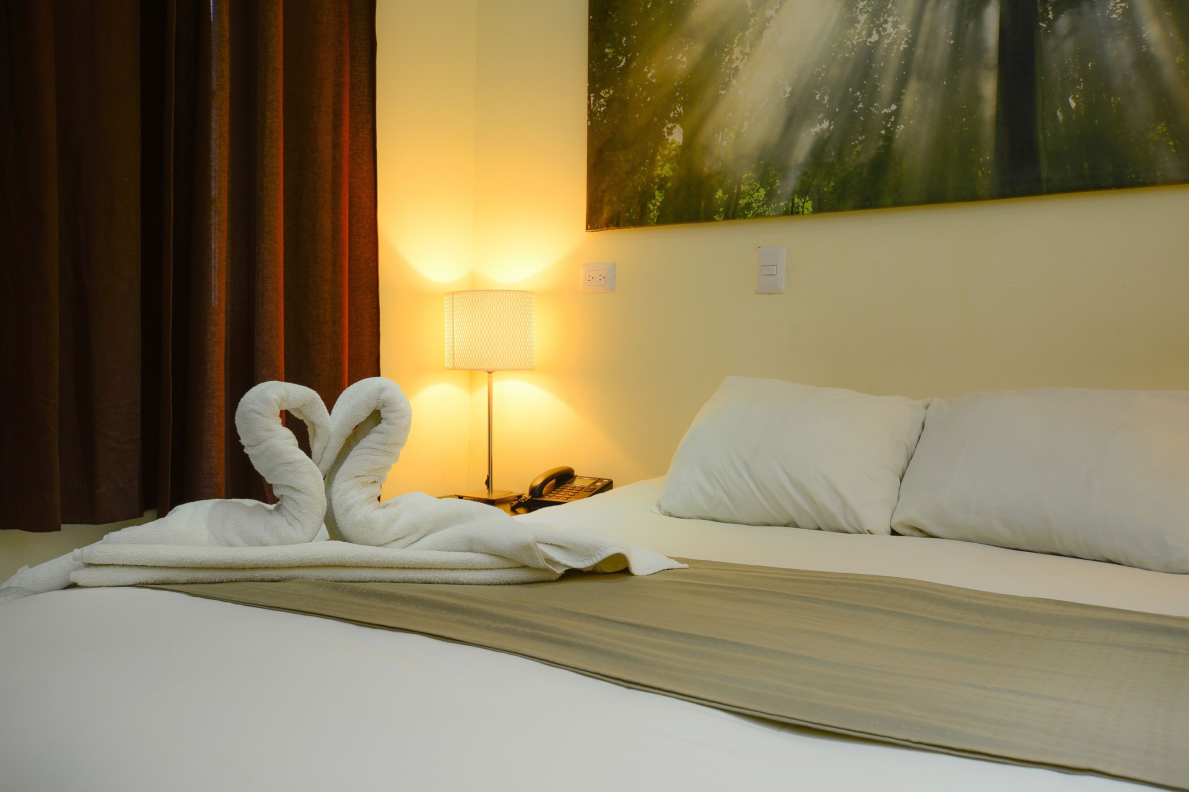 Hotel Luisiana
