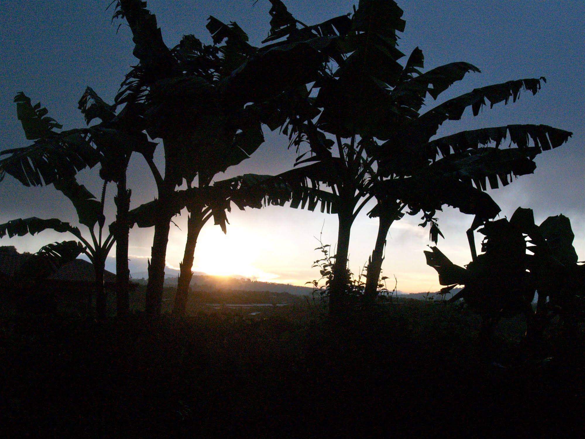 Casa Amanecer B & B