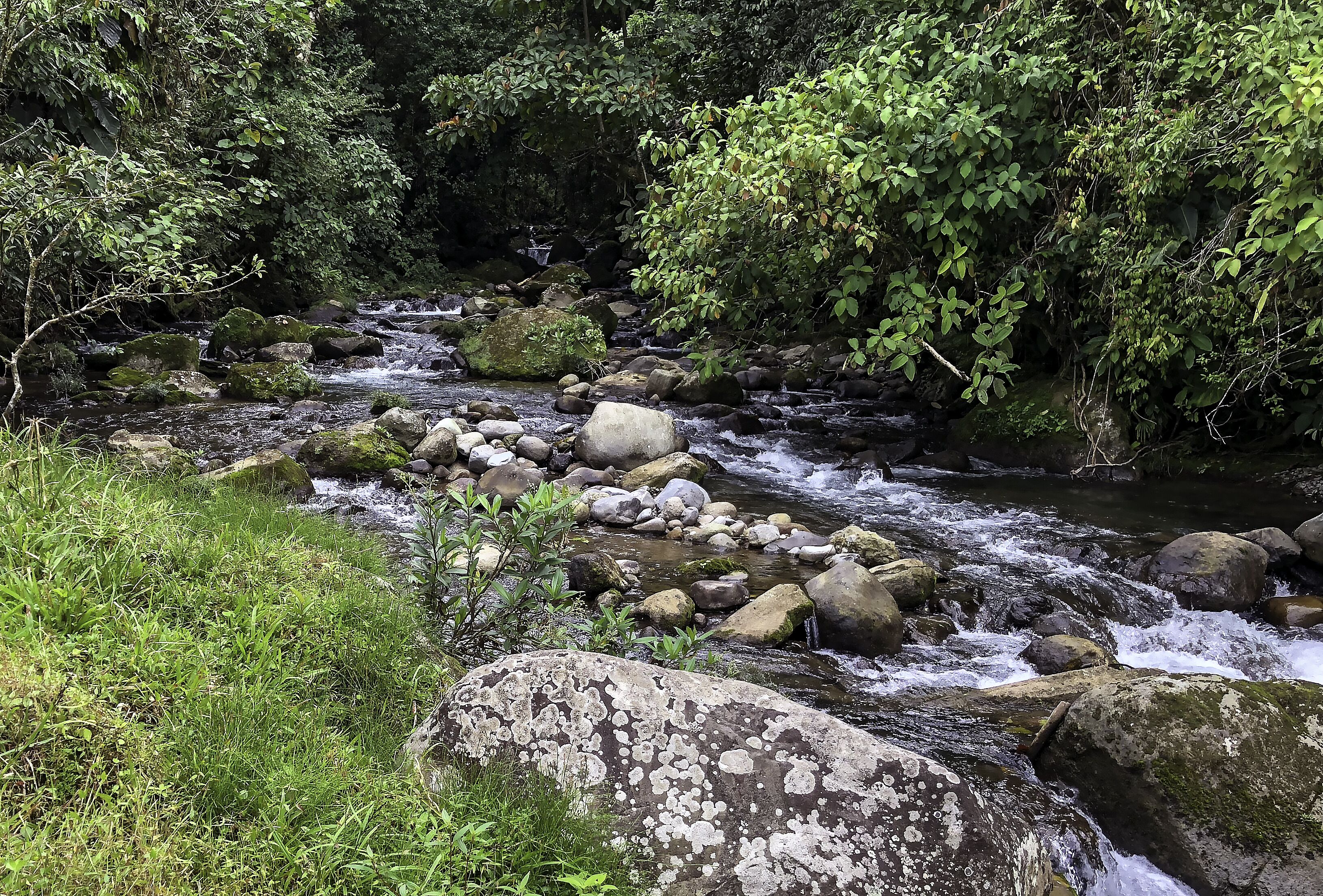 Arte De Plumas Birding Lodge