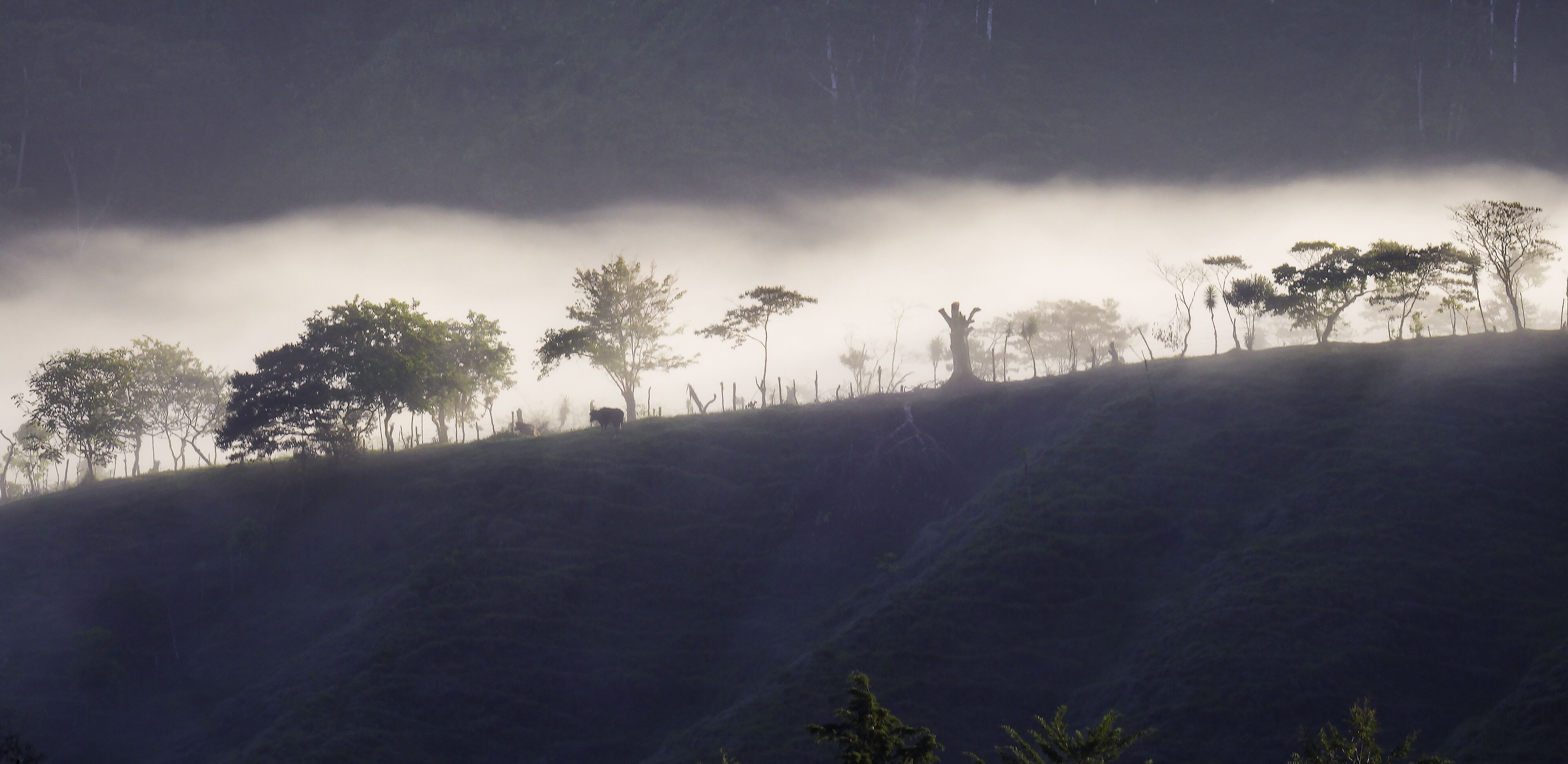 Arte De Plumas Birding Lodge