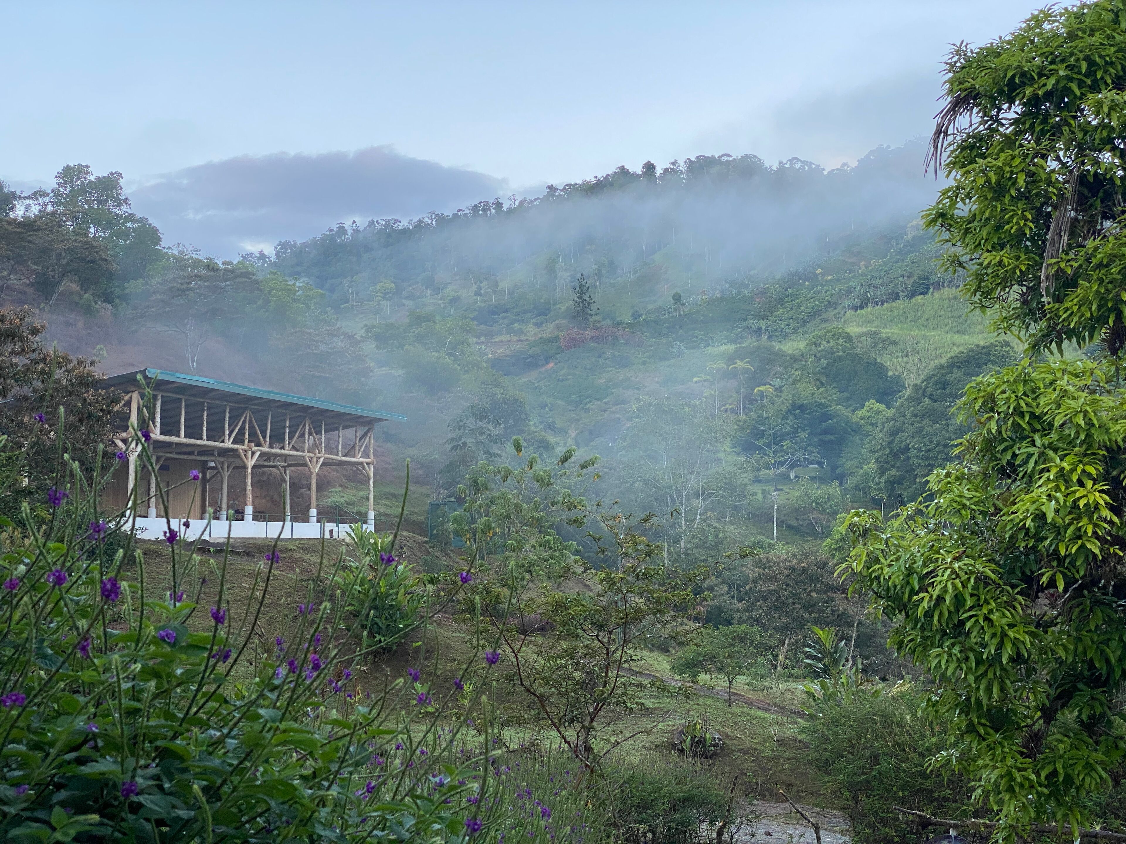 Arte De Plumas Birding Lodge
