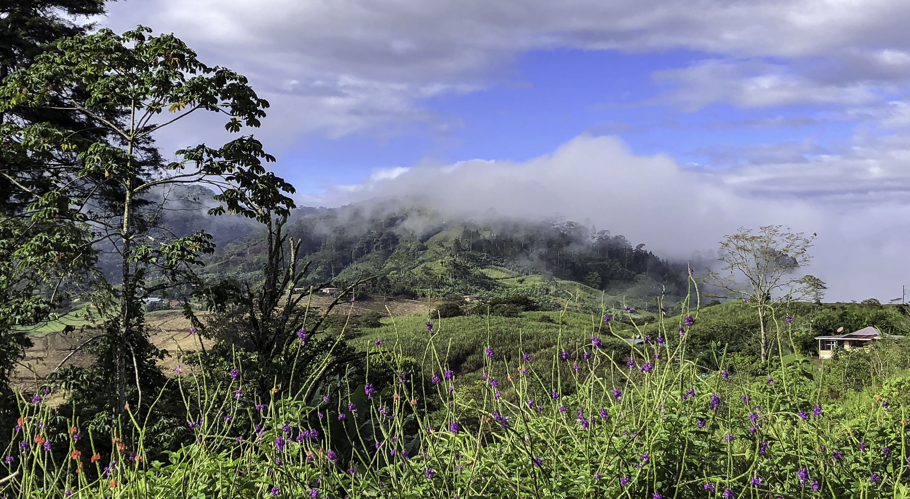Arte De Plumas Birding Lodge