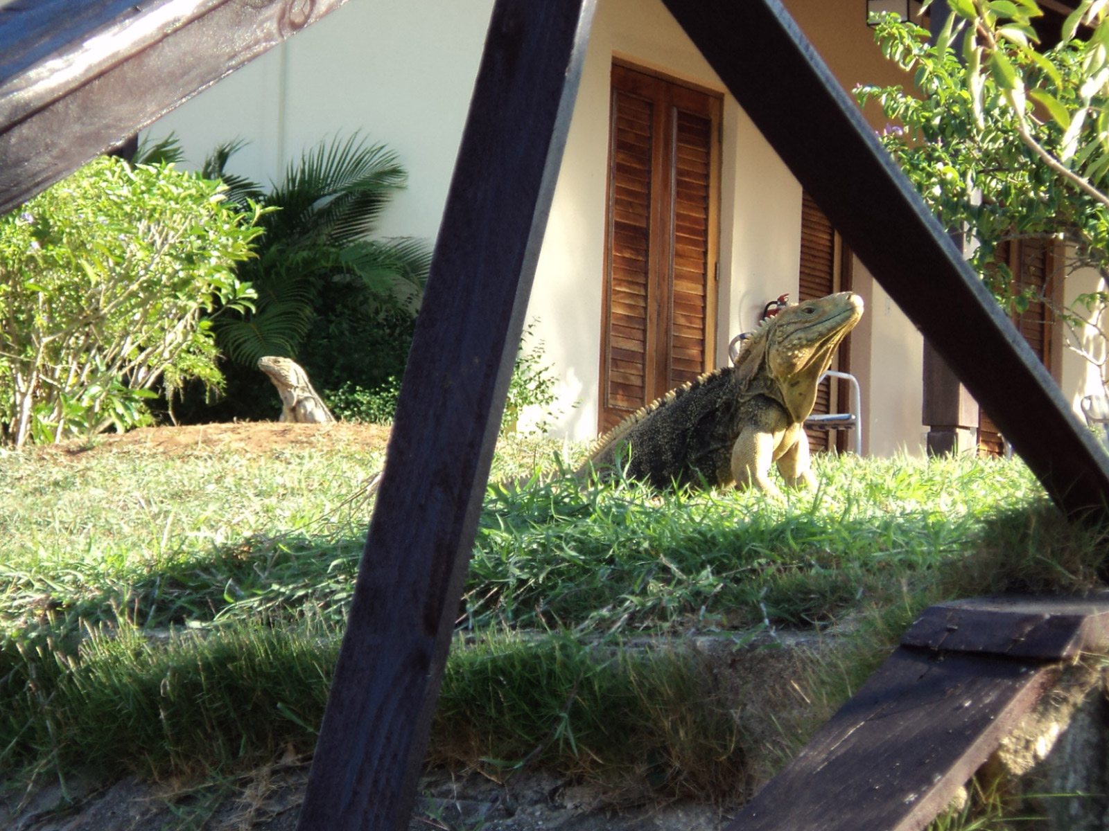 Villa Cayo Saetia