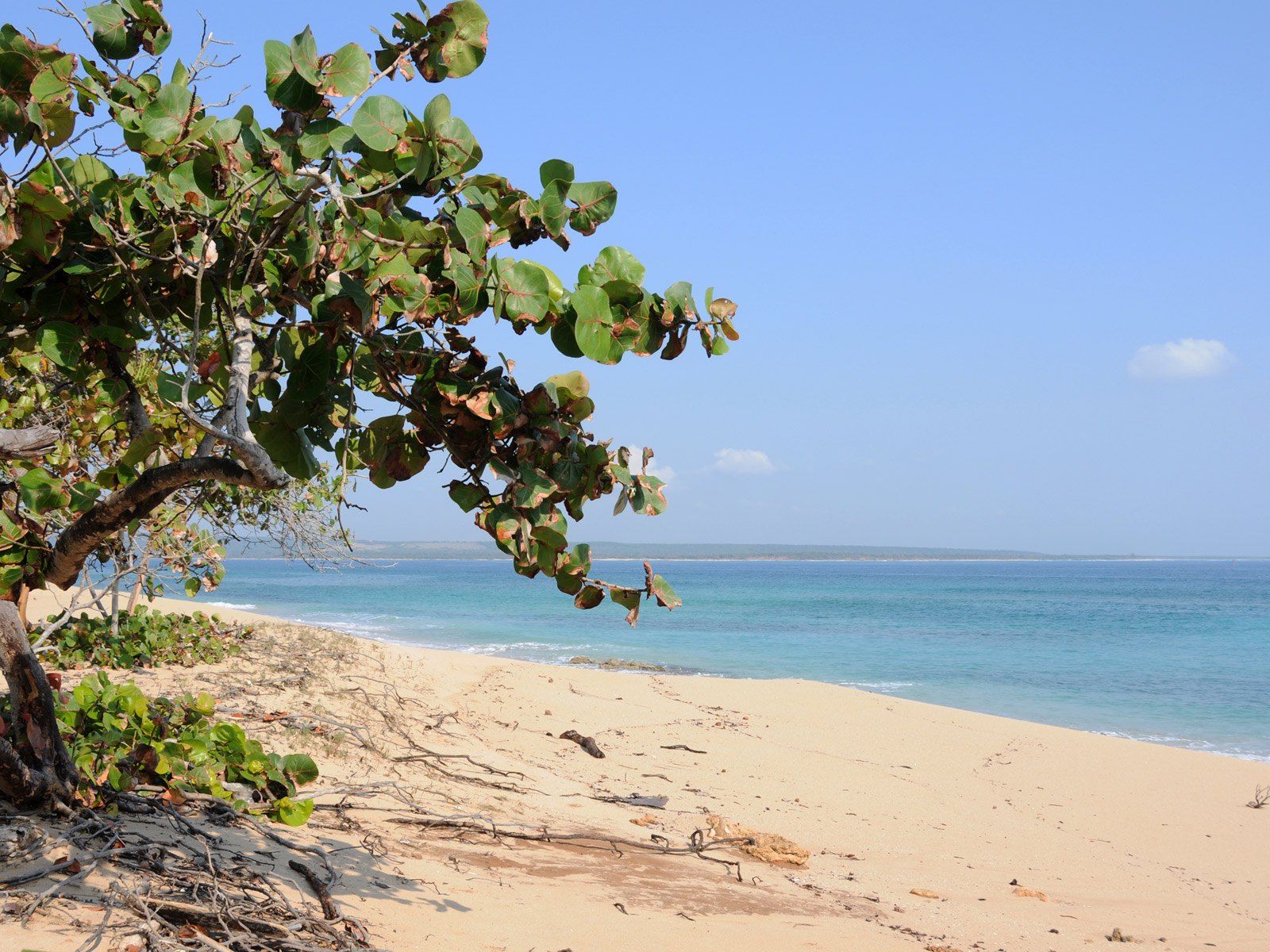 Villa Cayo Saetia