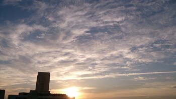 Casa Particular Burton