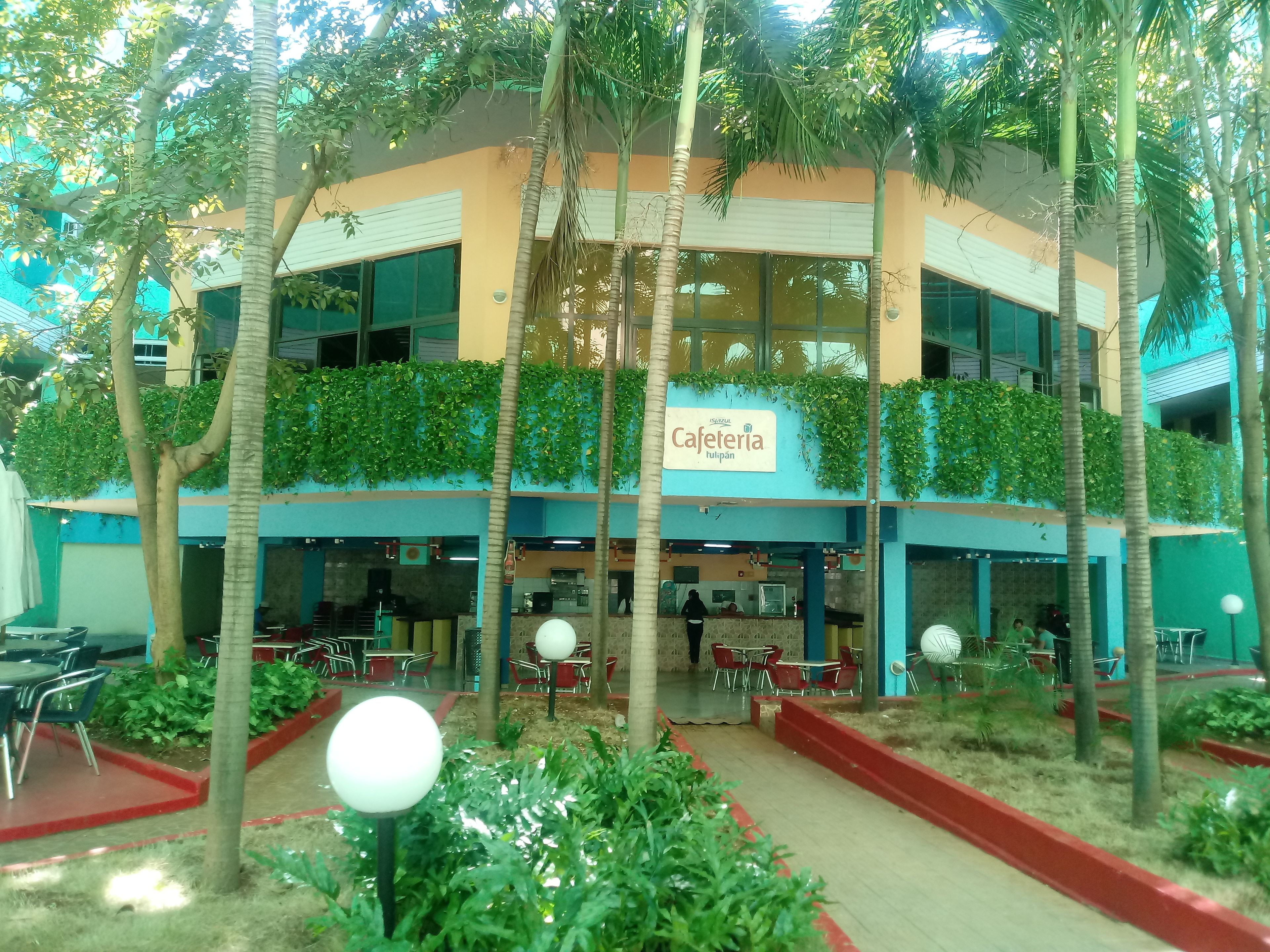 Hotel Tulipan