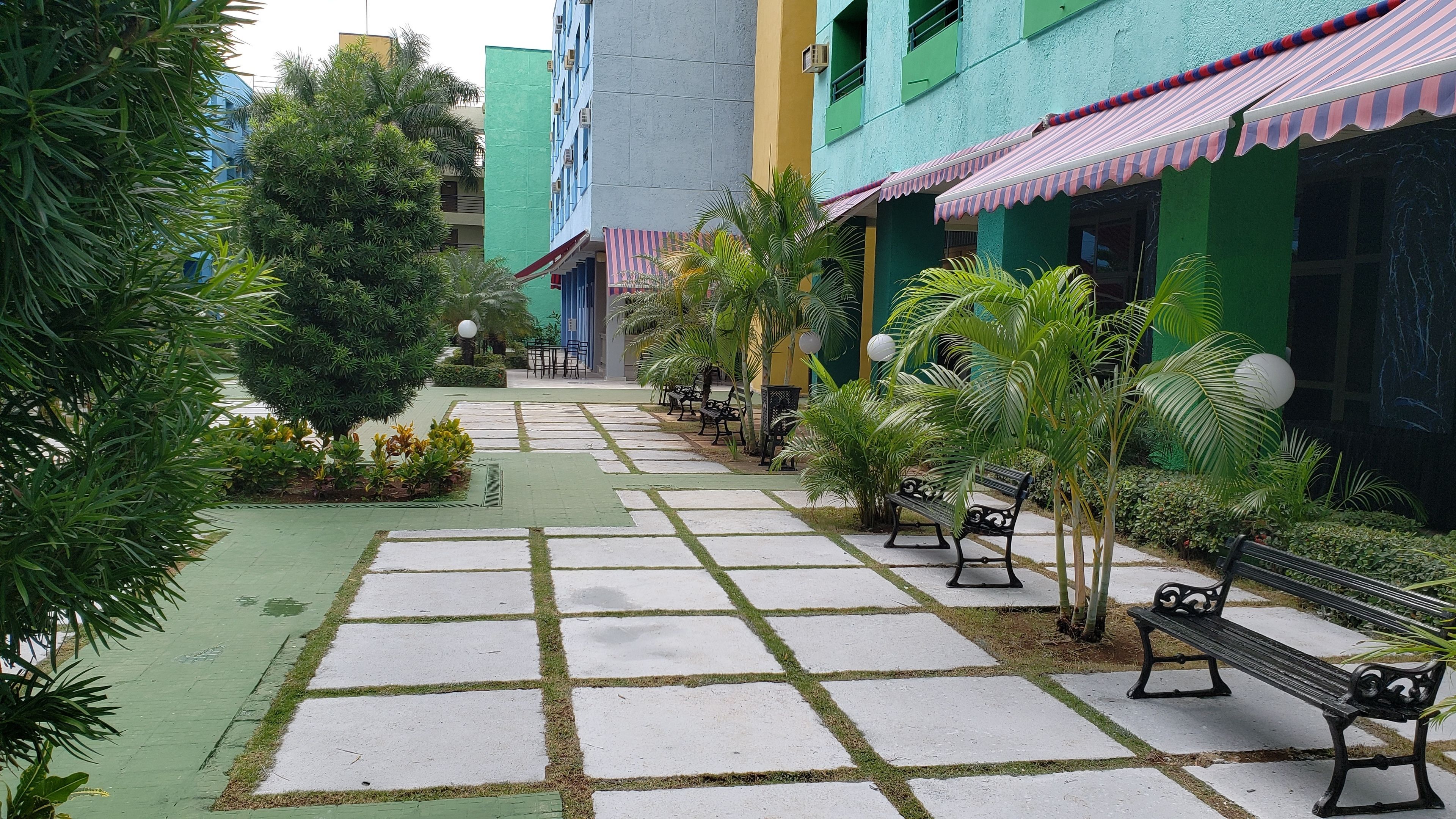 Hotel Tulipan