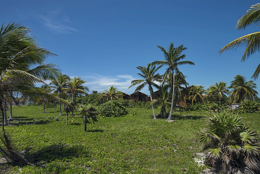 Hotel Villa Iguana