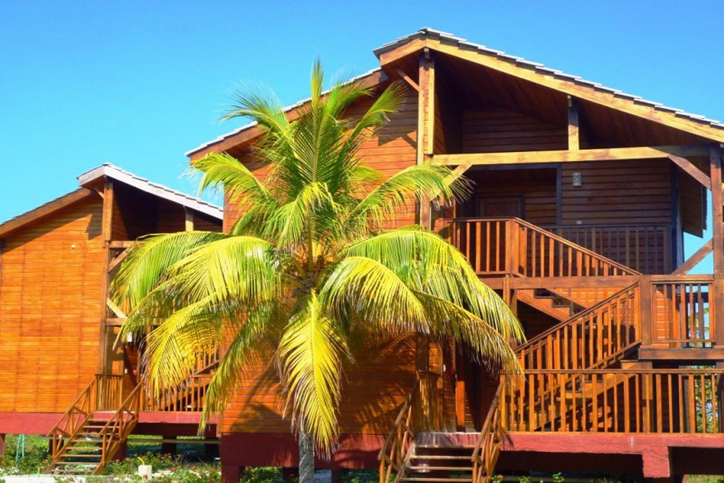 Hotel Villa Iguana