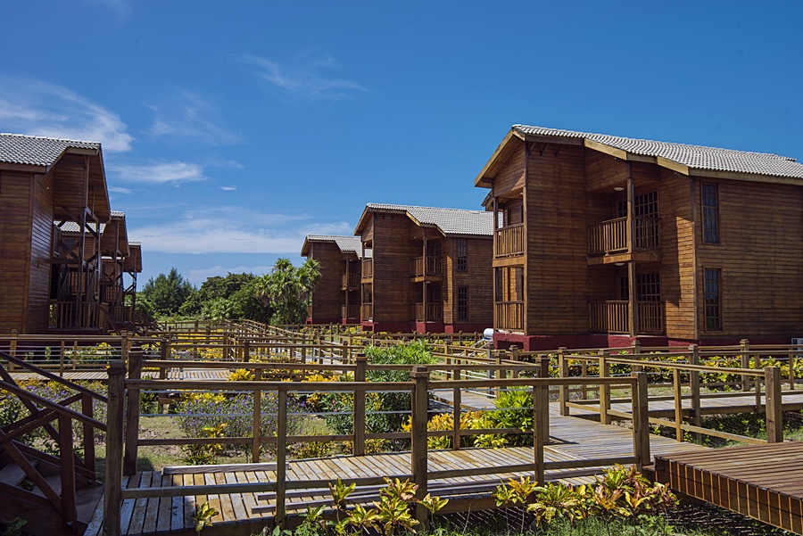 Hotel Villa Iguana