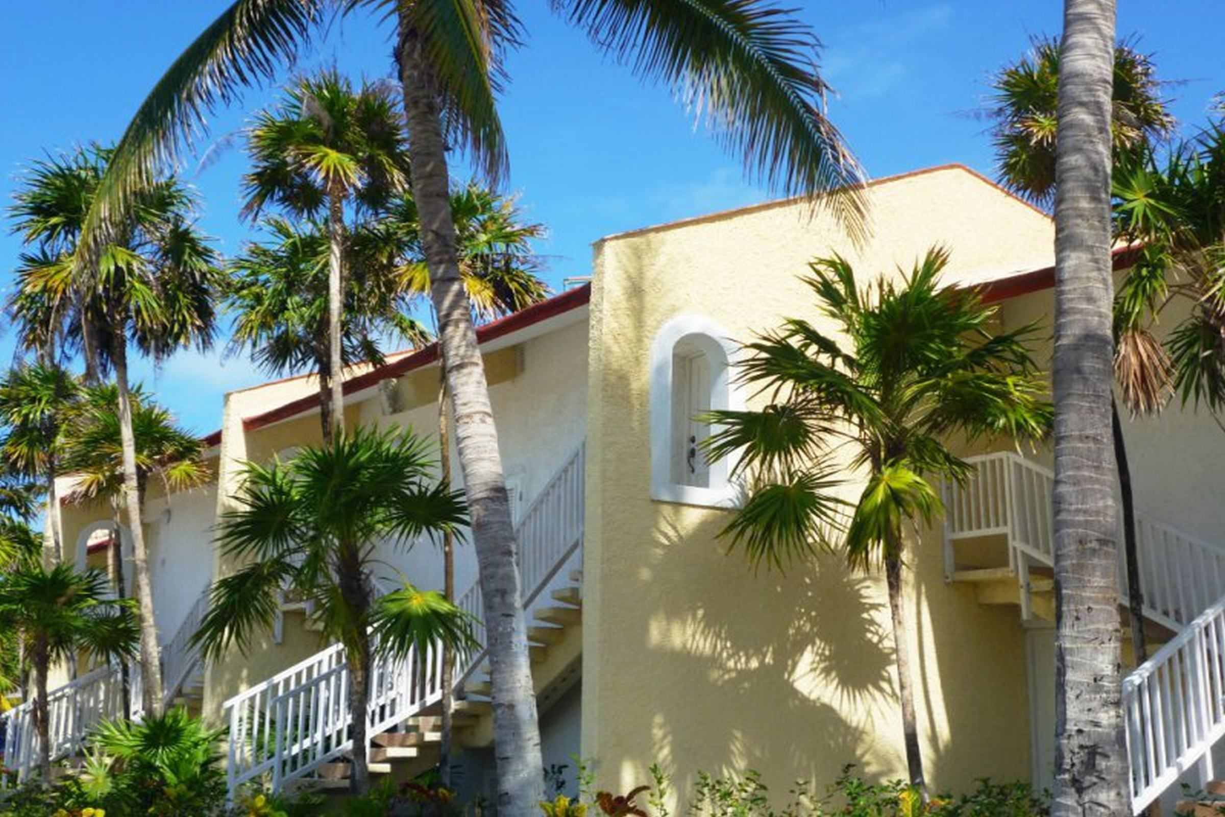 Hotel Villa Iguana