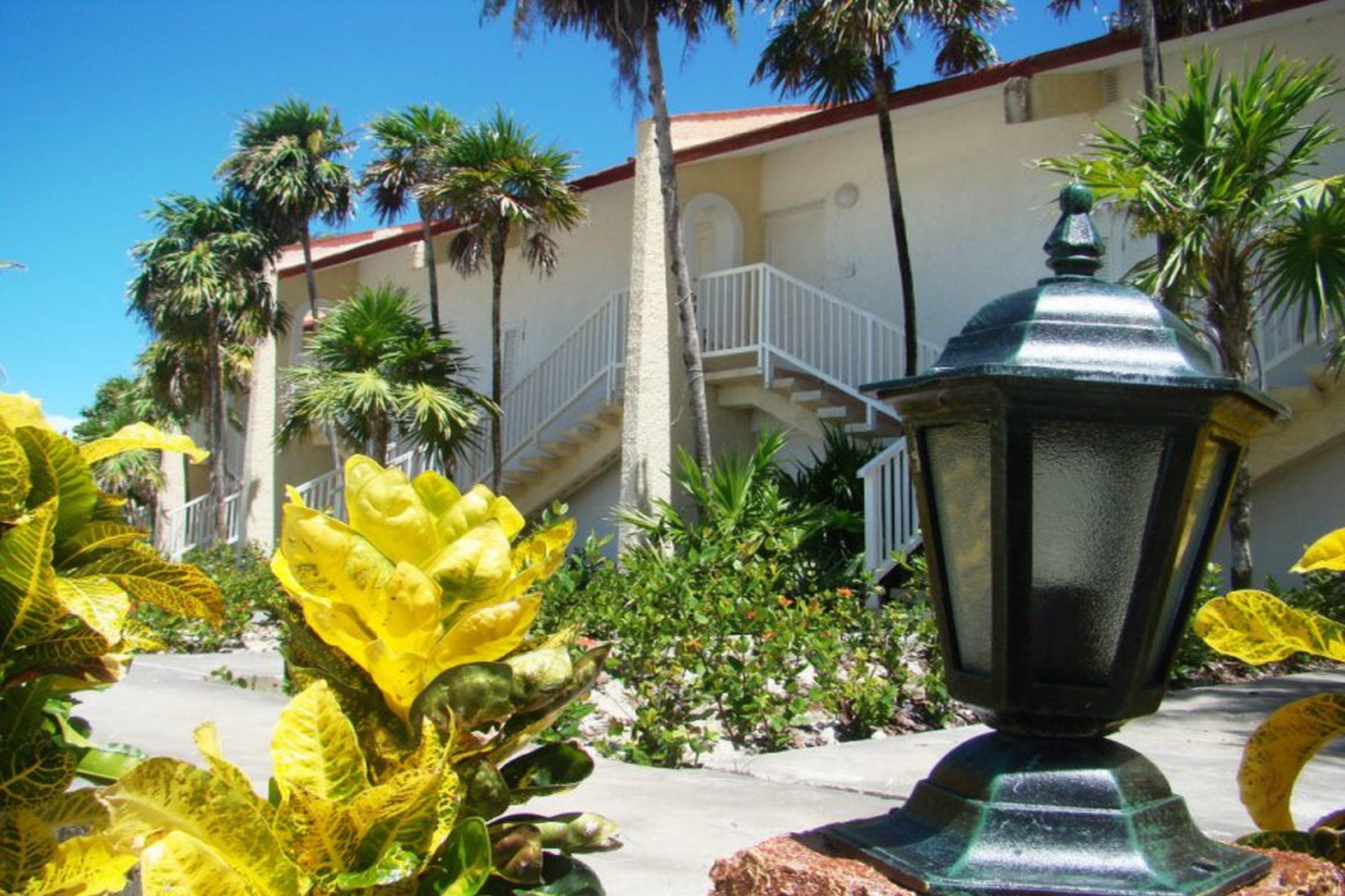 Hotel Villa Iguana
