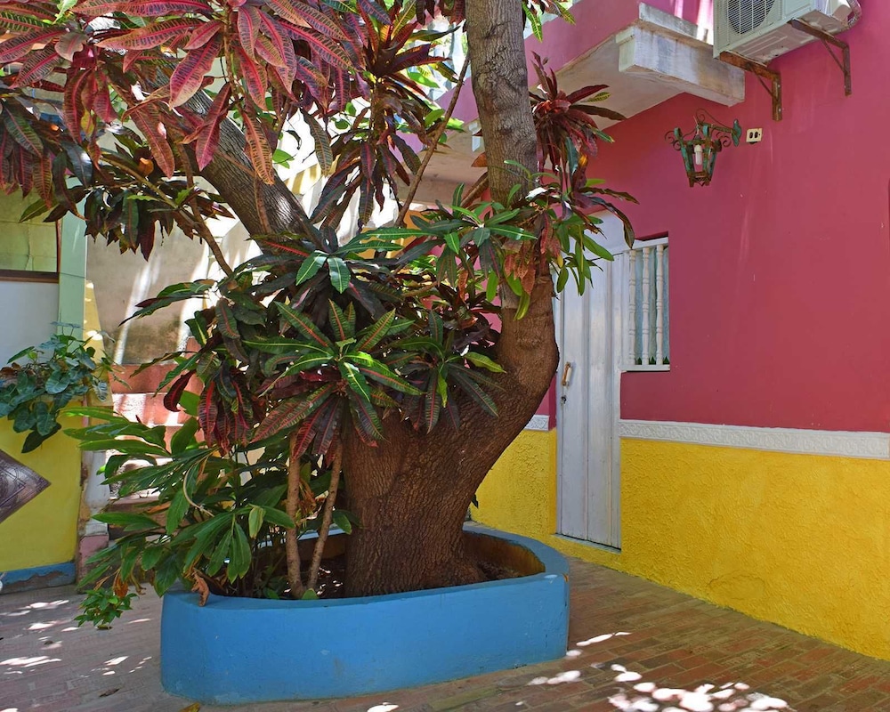 Hostal Del Pino
