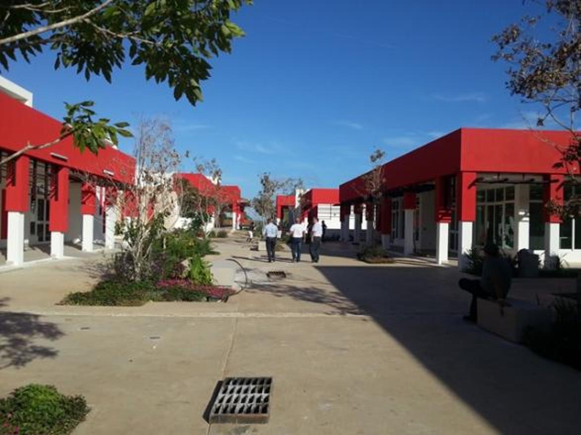 Hotel Las Salinas Plaza & Spa