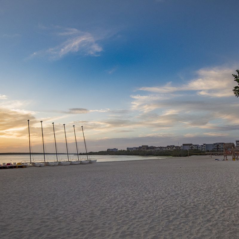Hotel Las Salinas Plaza & Spa