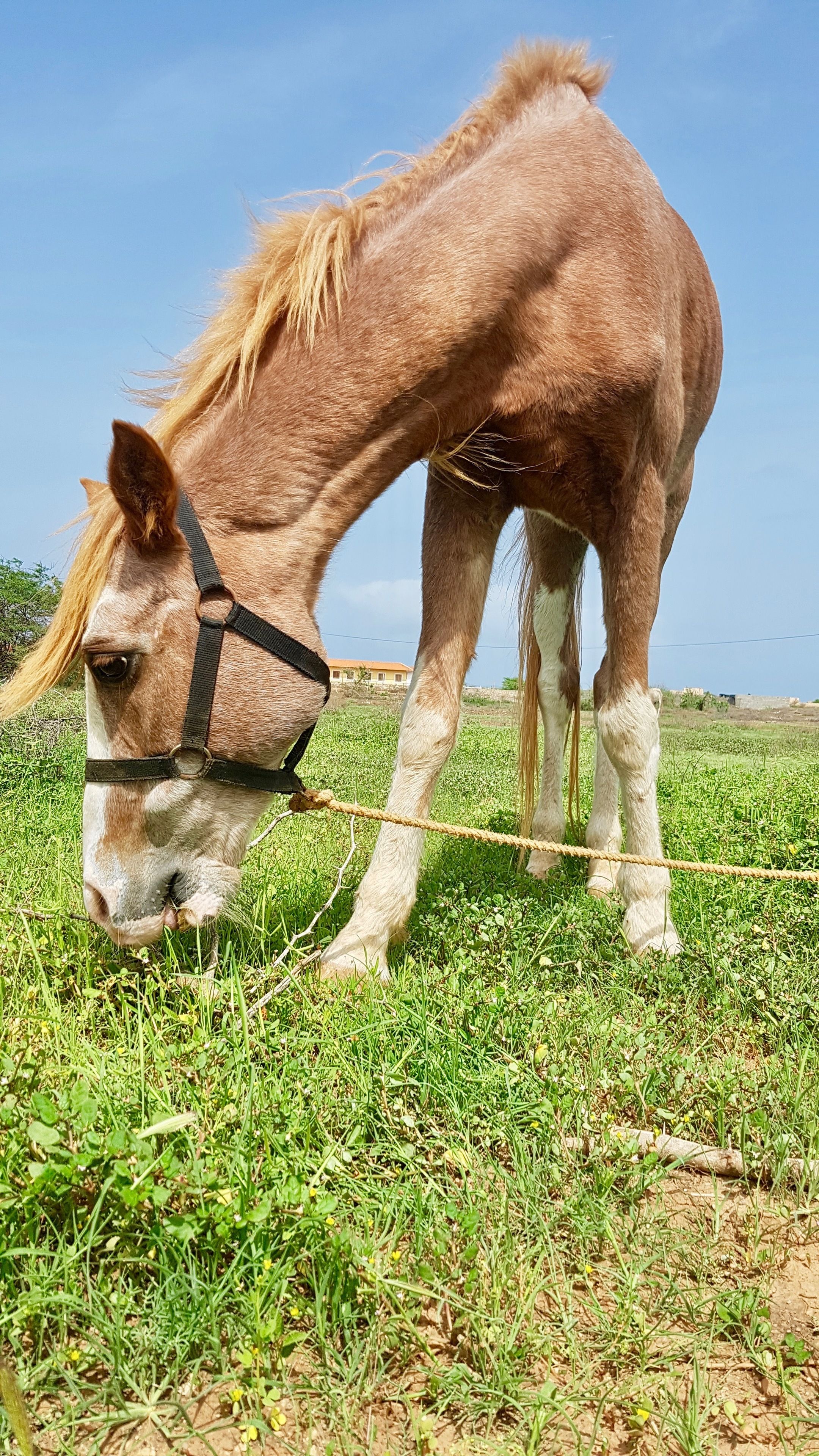 Villa Maris Ecolodge