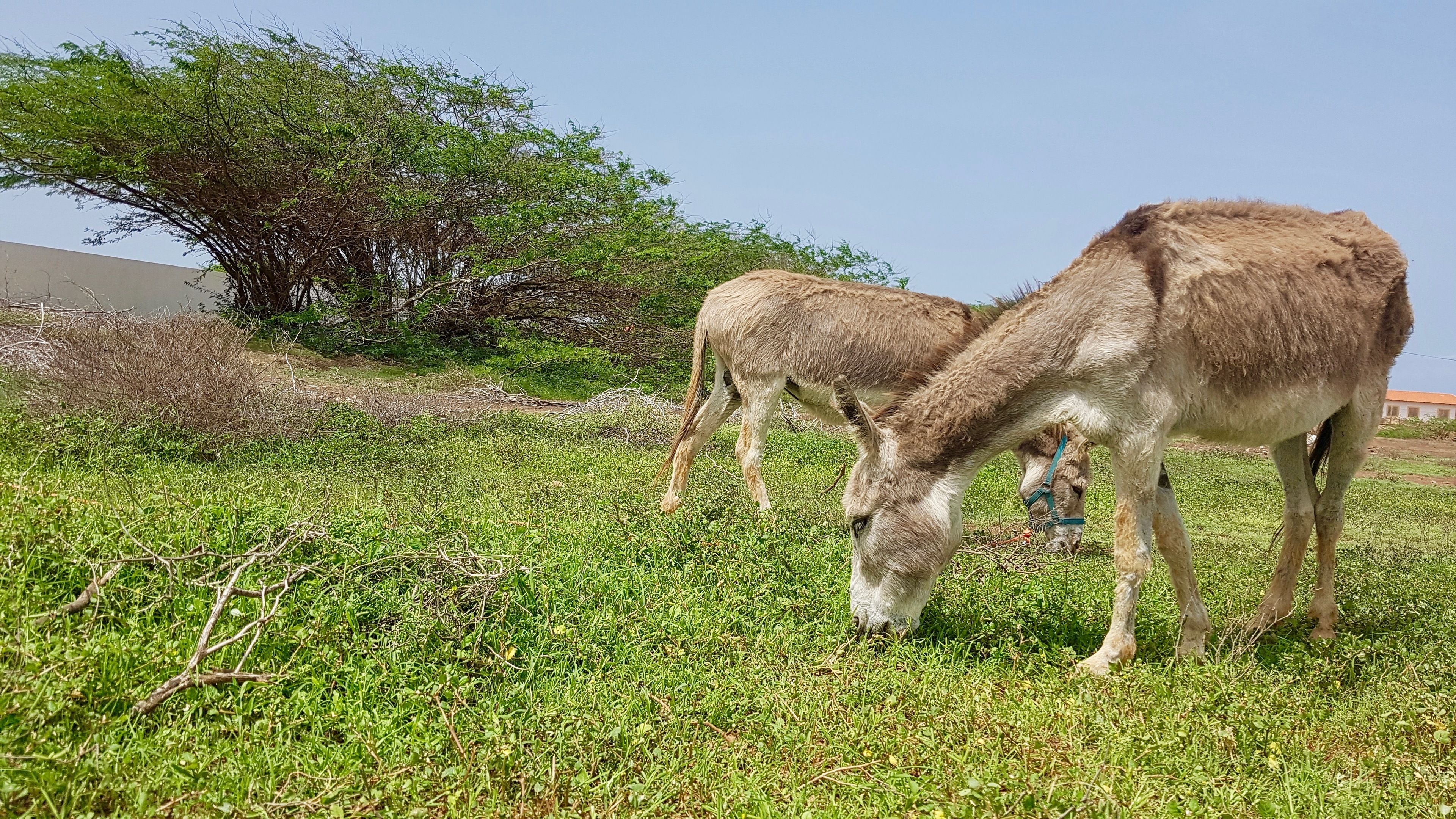 Villa Maris Ecolodge