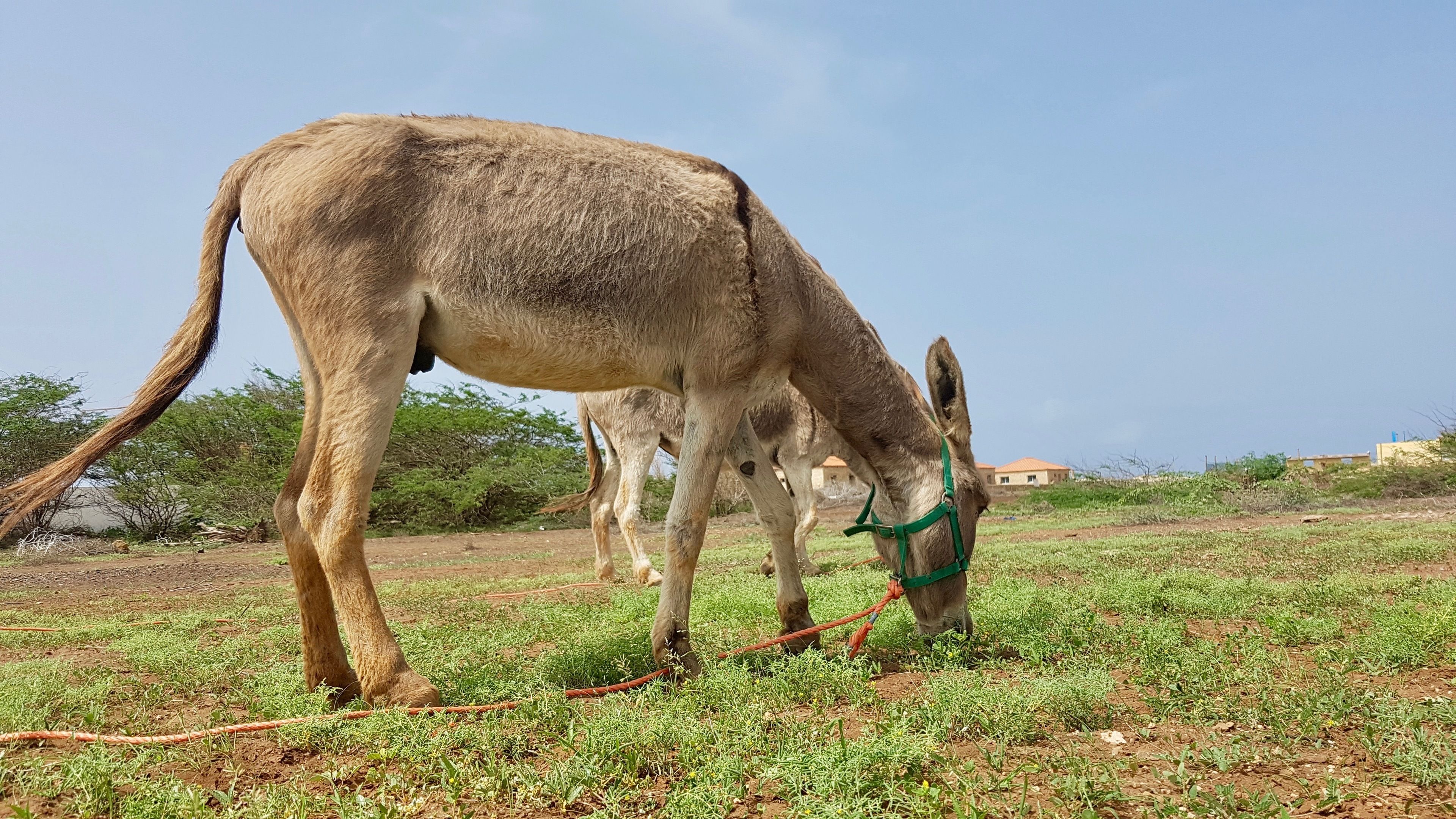 Villa Maris Ecolodge