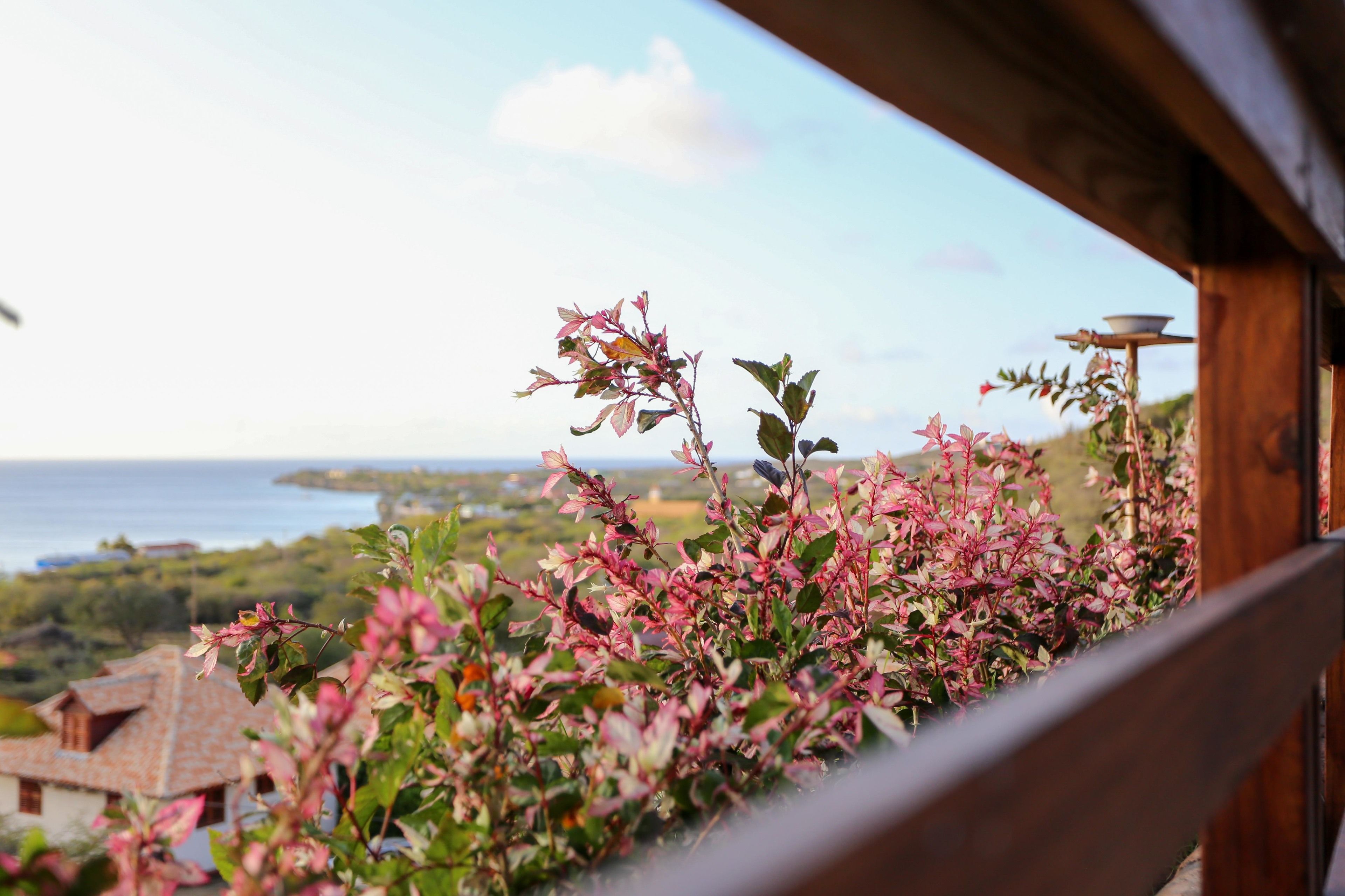 Punta West Bed & Breakfast