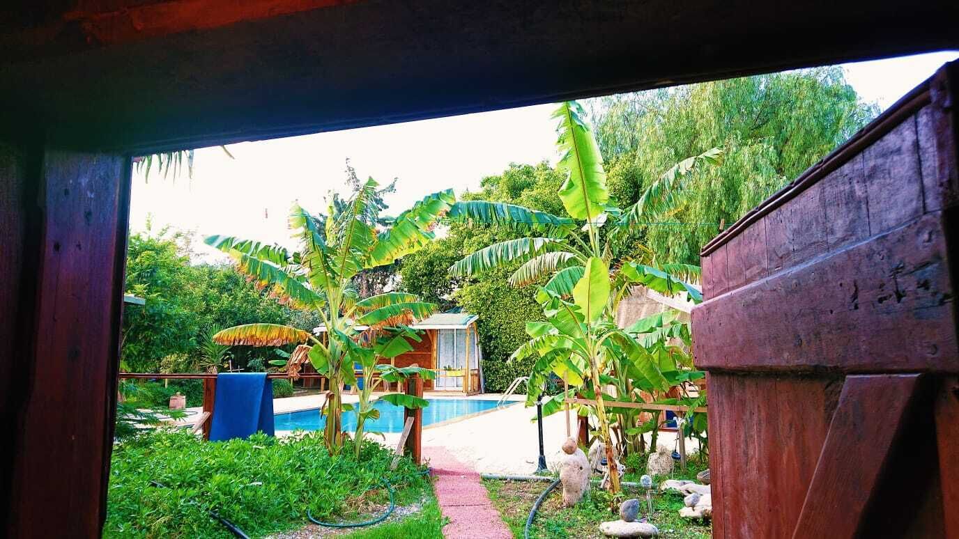 Green Bungalow